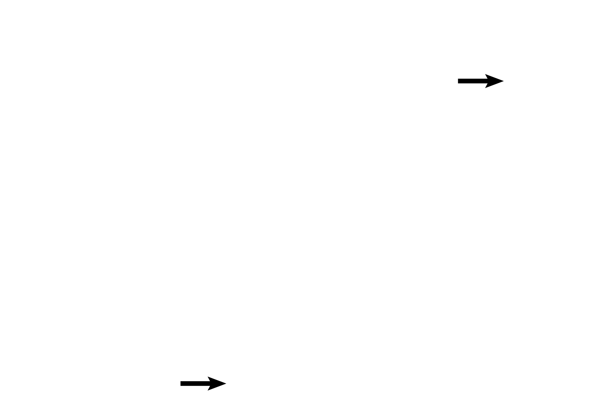  - Maternal blood <p>All chorionic villi extend into the intervillous space filled with maternal blood.  Each villus, with a central core of embryonic connective tissue and embryonic blood vessels, is covered by an inner layer of cytotrophoblastic cells and an outer layer of syncytiotrophoblast. 400x</p>
