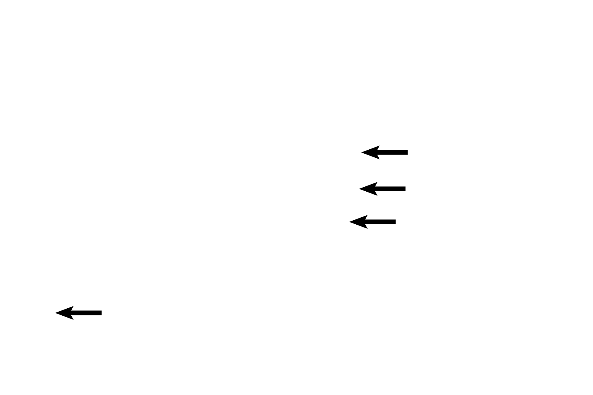  - Embryonic blood vessels <p>All chorionic villi extend into the intervillous space filled with maternal blood.  Each villus, with a central core of embryonic connective tissue and embryonic blood vessels, is covered by an inner layer of cytotrophoblastic cells and an outer layer of syncytiotrophoblast. 400x</p>
