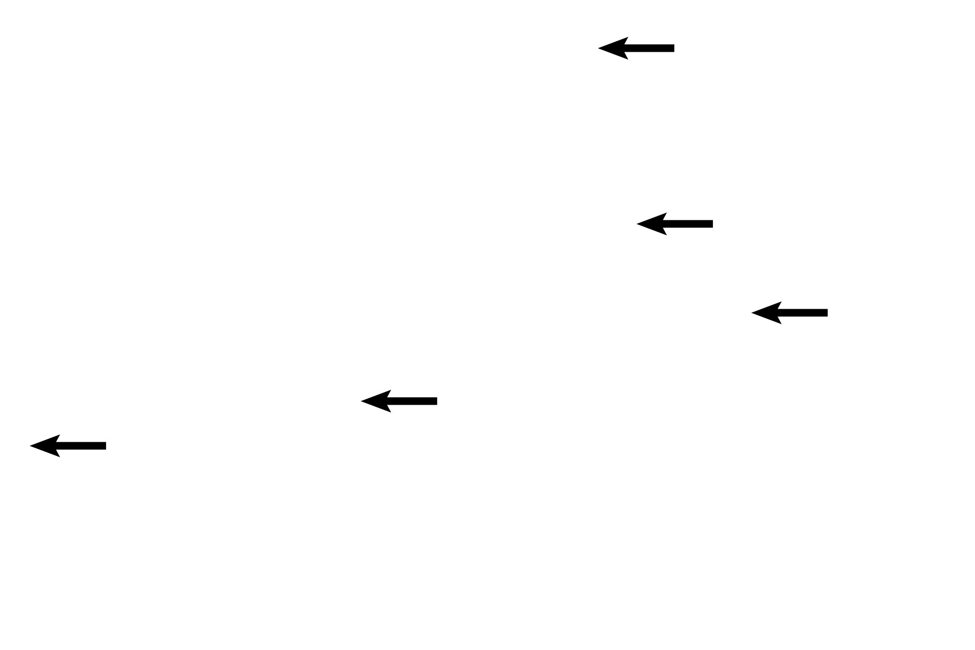  - Cytotrophoblast > <p>In the early placenta, cytotrophoblastic cells form a continuous, single-cell layer surrounding the embryonic connective tissue.  These cells give rise to the multinucleated syncytiotrophoblast that lines the intervillous space. </p>
