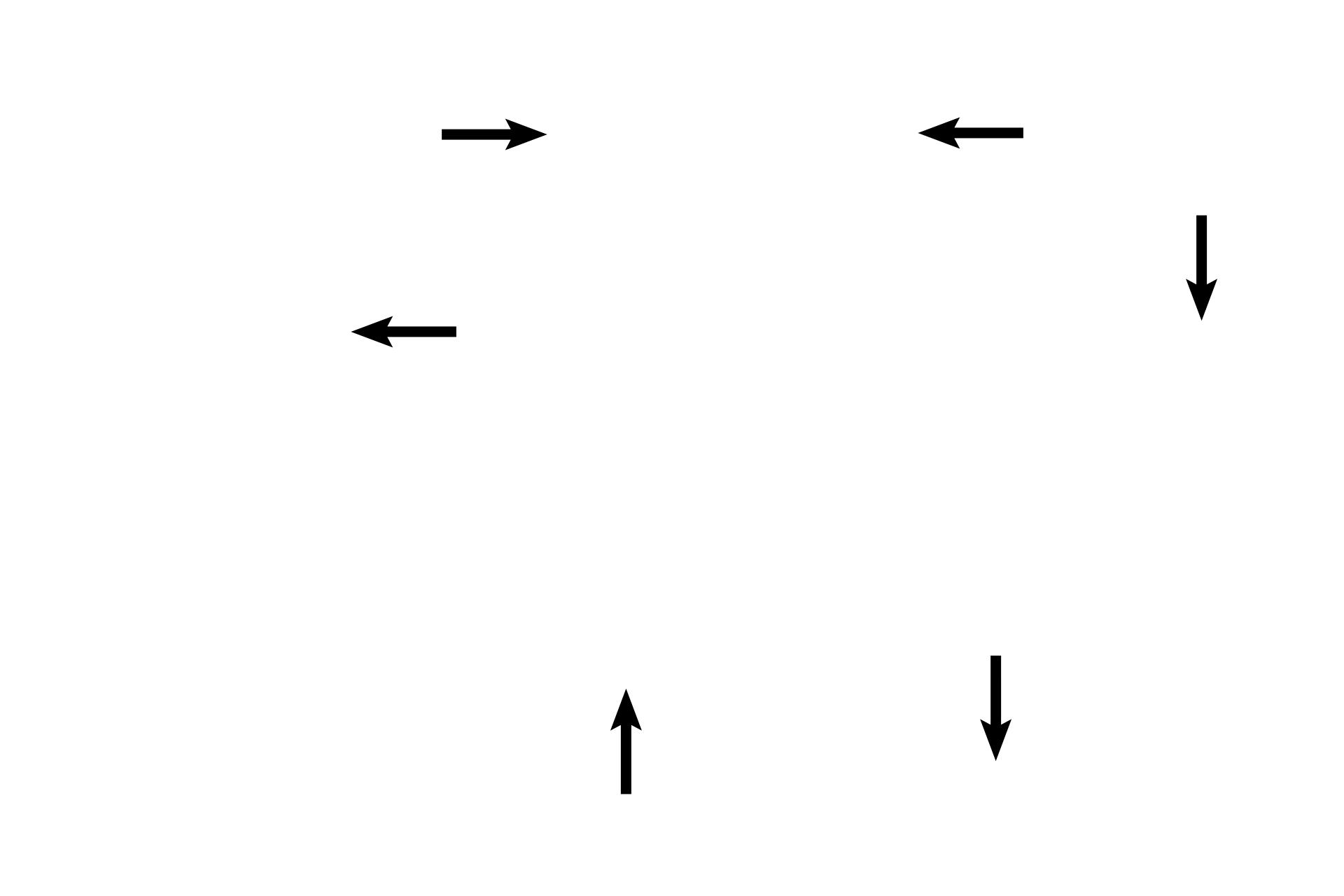  - Syncytiotrophoblast <p>In the early placenta, cytotrophoblastic cells form a continuous, single-cell layer surrounding the embryonic connective tissue.  These cells give rise to the multinucleated syncytiotrophoblast that lines the intervillous space. </p>
