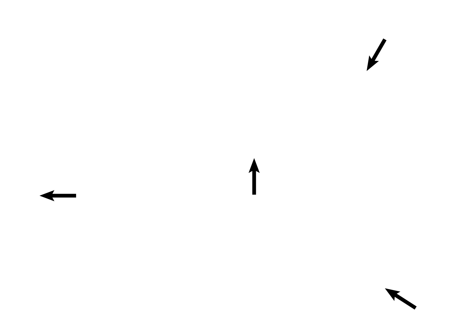  - Syncytiotrophoblast <p>Villi appear similar to those in early placenta except that fetal connective tissue is more condensed; cytotrophoblast cells form a discontinuous layer beneath the syncytiotrophoblast; fibrinoid is seen in villi; and syncytiotrophoblastic nuclei tend to clump.  Fetal capillaries are more numerous and are frequently located immediately beneath the syncytial layer.  400x</p>
