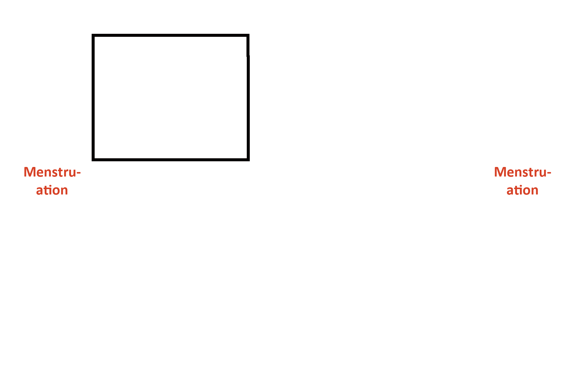 Days 6-14 > <p>At the end of menstruation, ovarian follicles are growing and increasing their production of estrogen, which stimulates the regrowth of the functional zone of the endometrium.  During this phase, glands are narrow and straight; spiral arteries are narrow, not coiled, making their identification difficult; and the functional zone is thickening.</p>
