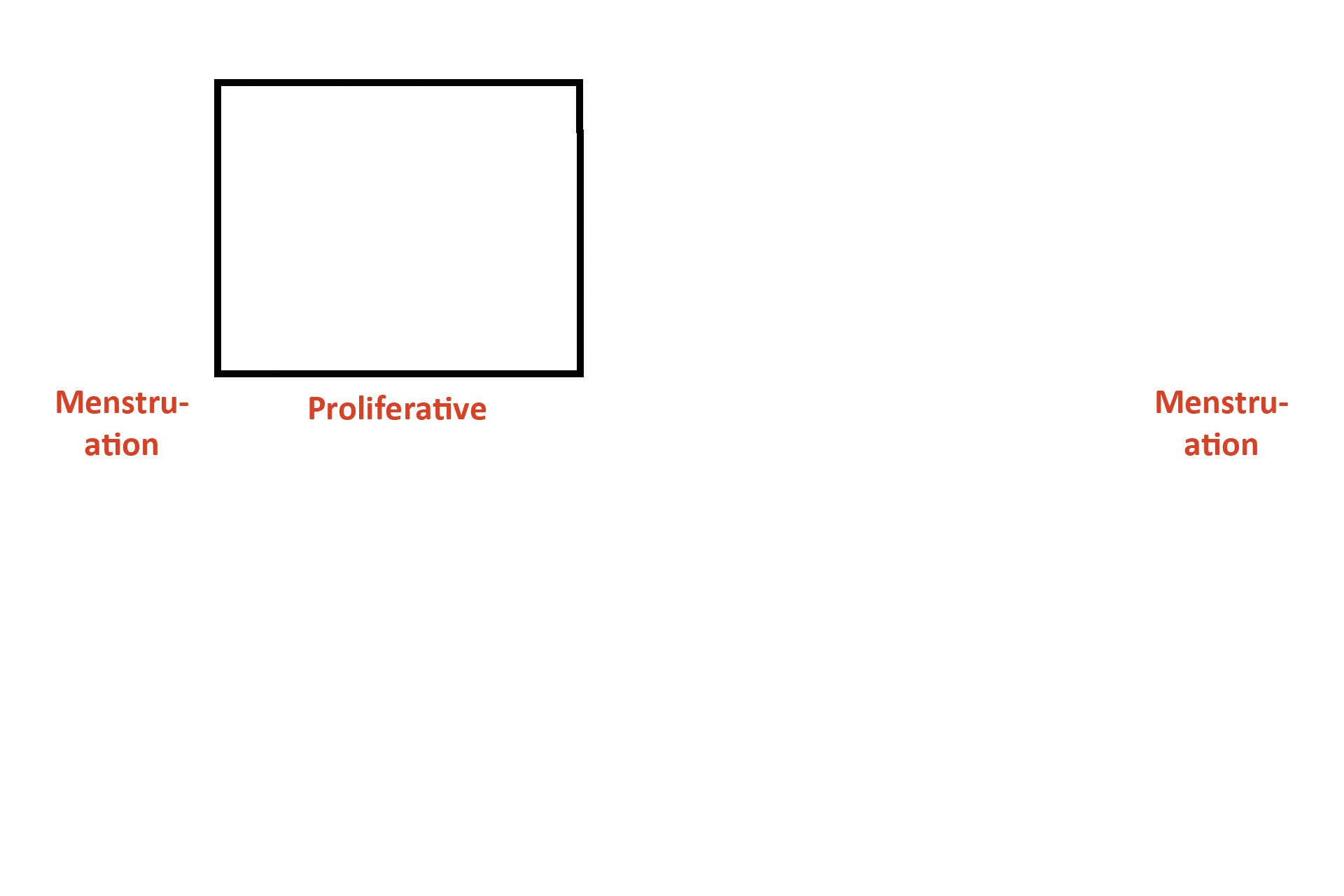  - Stage > <p>Because the functional zone is proliferating, Days 6-14 are called the proliferative phase of the menstrual (uterine) cycle.</p>
