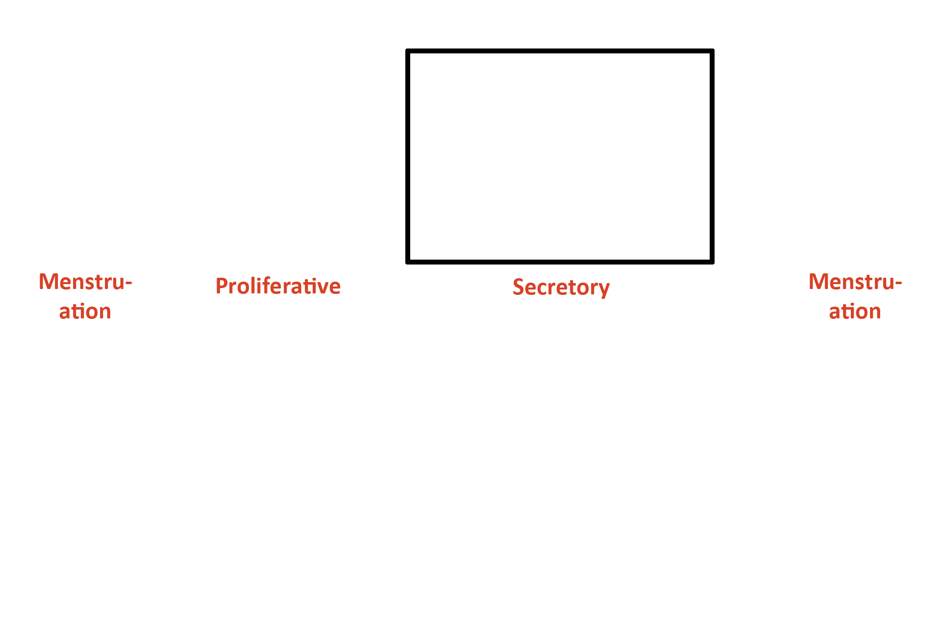  - Stage > <p>Because uterine glands are actively secreting, this phase, from Days 14-26, is called the secretory phase of the menstrual (uterine) cycle. </p>
