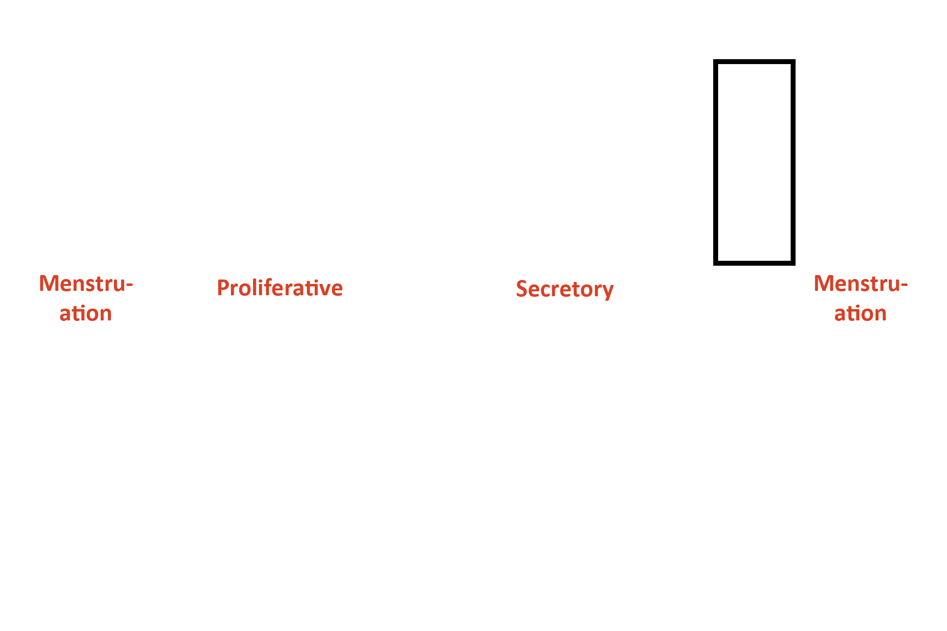 Days 26-28 > <p>The corpus luteum diminishes production of progesterone and estrogen about day 26.  Hormone reduction causes the endometrium to collapse, which compresses the spiral arteries.  A series of compressions and decompressions of these arteries results in ischemia to the superficial portion of the functional zone and this tissue degenerates.</p>
