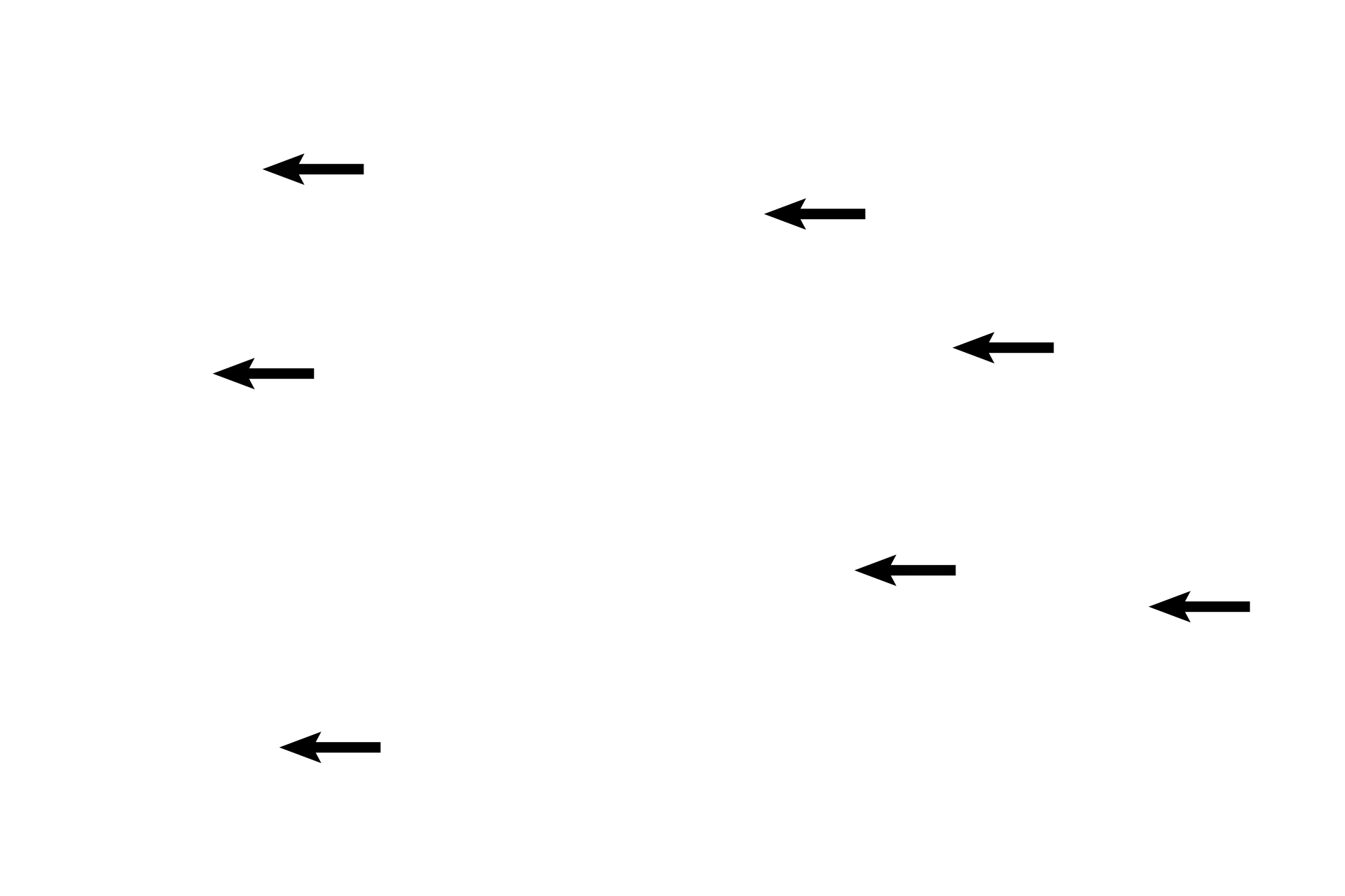 Glands <p>The basal zone stains darker than the functional zone because cells in this region are smaller and more densely packed.  The functional zone continues to thicken under the influence of progesterone and estrogen from the corpus luteum.  Simple tubular glands are increasing in size and becoming sacculated; secretions are present in the some of the lumens. </p>

