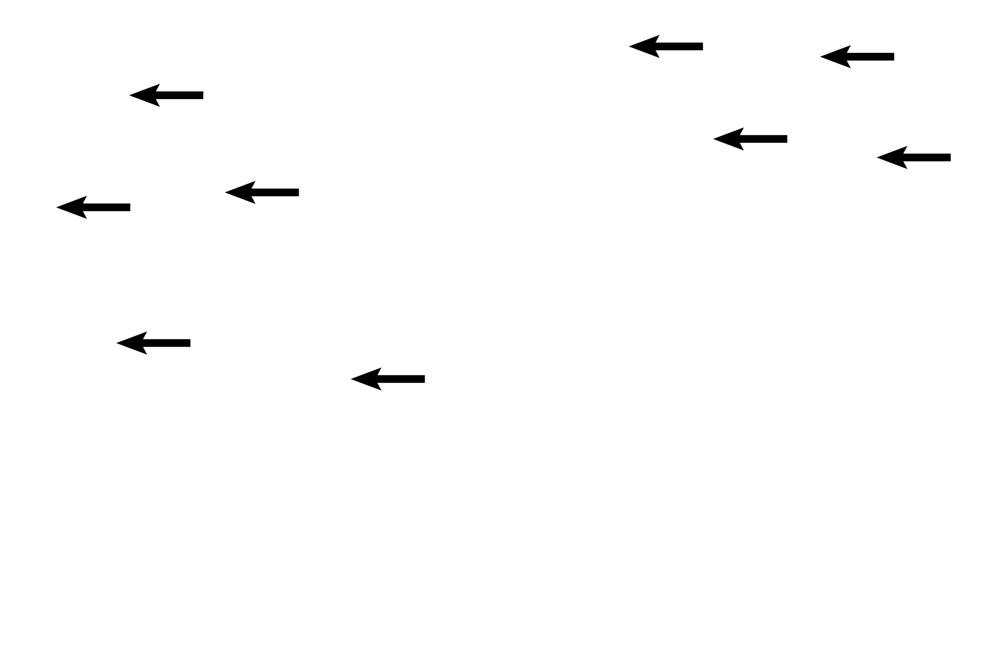 Glands <p>The secretory phases shown here are later in the cycle than the previous two images.  The endometrium has reached its greatest thickness (left) and has abundant sacculated glands.  The image on the right was taken later during the menstrual cycle (probably around day 25) than the image on the left.  10x, 10x </p>
