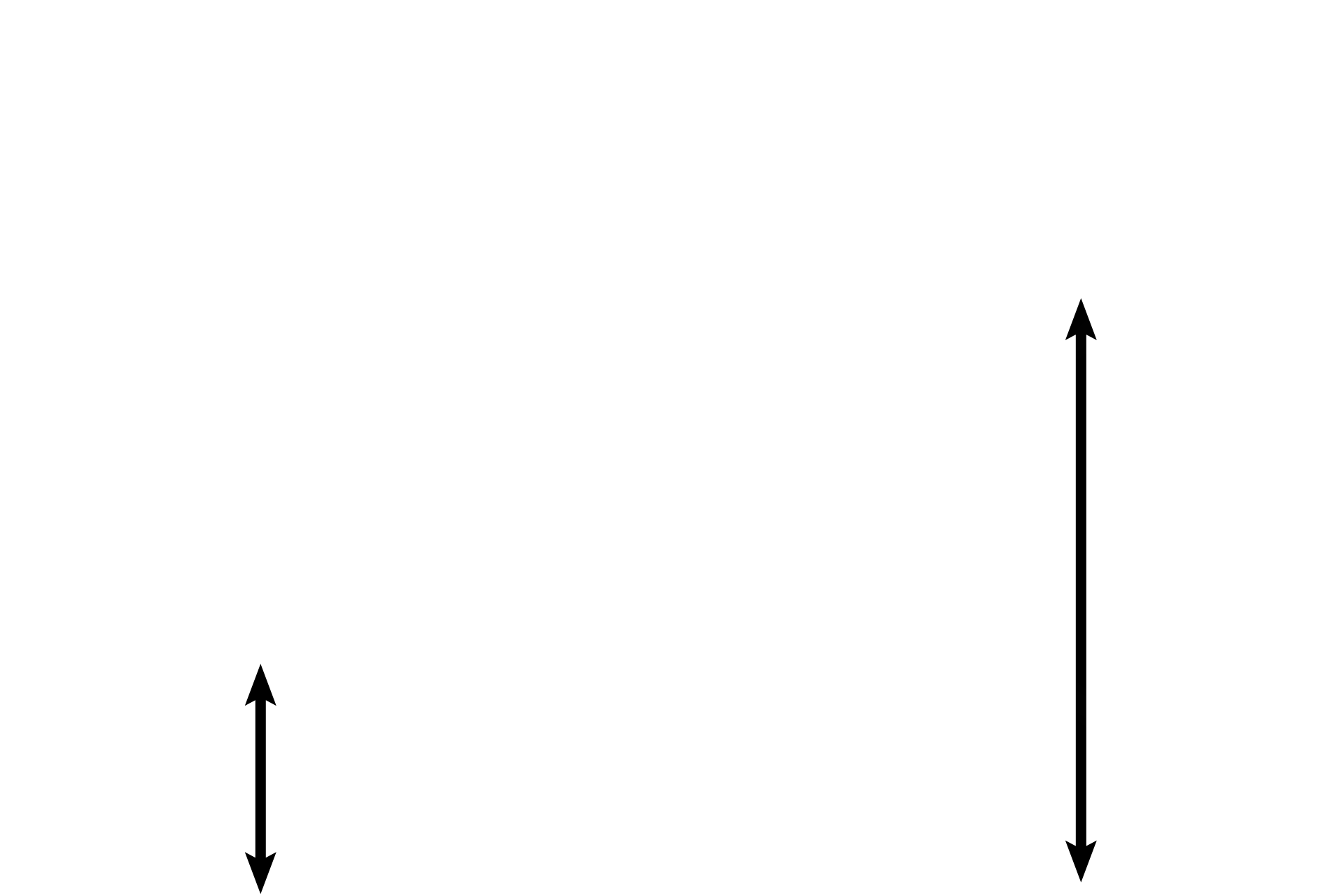 Myometrium <p>The secretory phases shown here are later in the cycle than the previous two images.  The endometrium has reached its greatest thickness (left) and has abundant sacculated glands.  The image on the right was taken later during the menstrual cycle (probably around day 25) than the image on the left.  10x, 10x </p>
