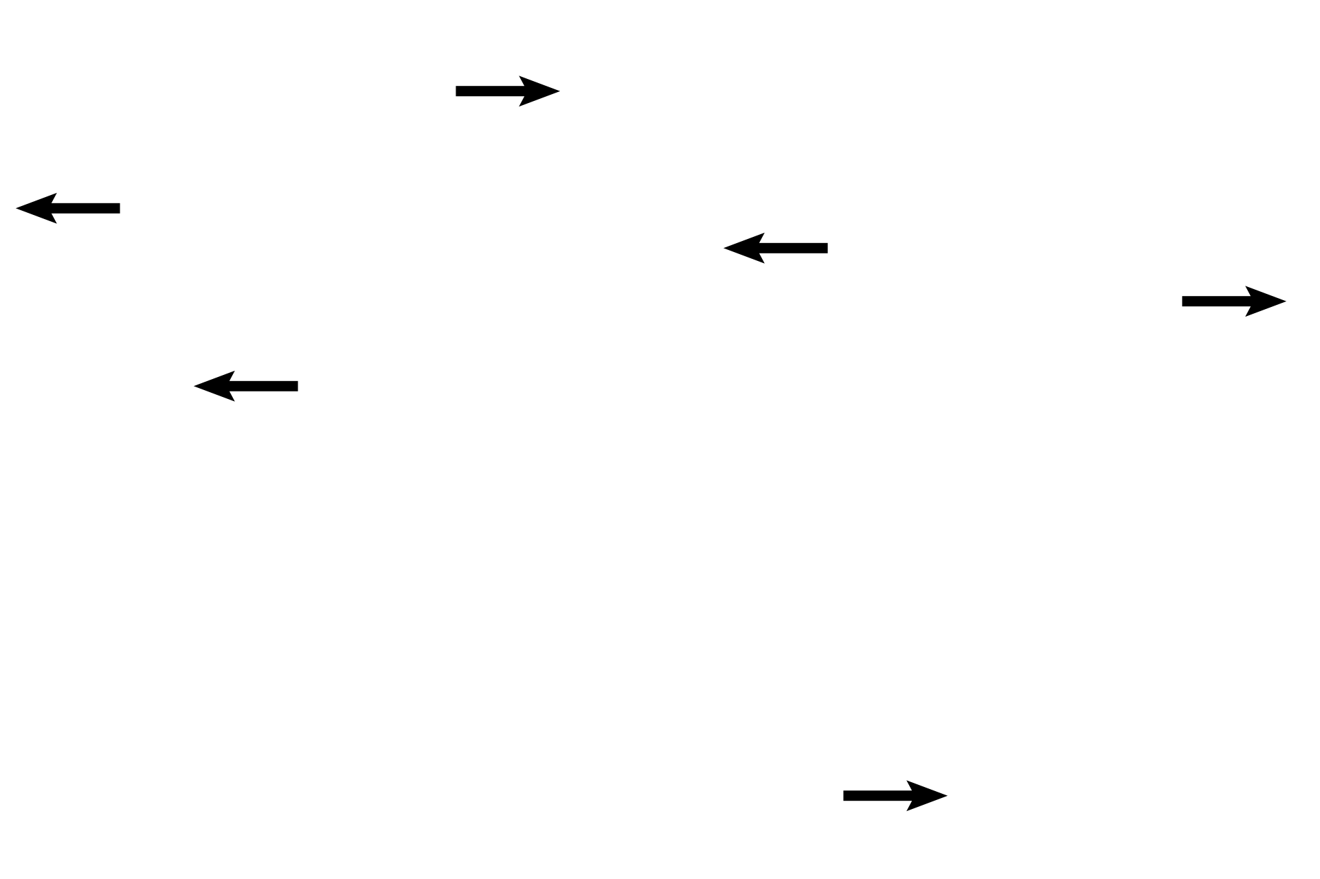 Glands <p>These images were show the junction of the basal and functional zones. The uterine endometrium at the time of implantation is distinguished by a thick endometrium; glands that are wide, sacculated and actively secreting; and coiled spiral arteries.  200x, 200x</p>
