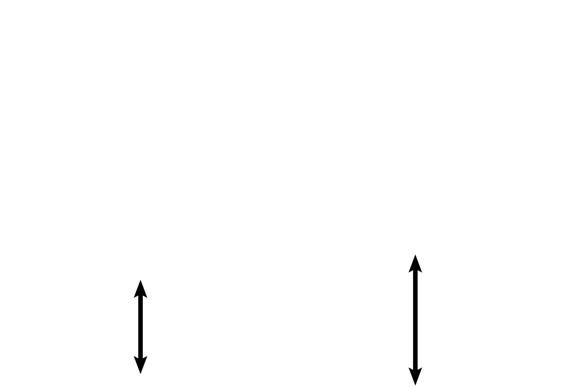 Myometrium <p>The corpus luteum decreases hormone production, causing the endometrium to shrink, becoming less edematous. Alternate contraction and relaxation of spiral arteries results in ischemia and degeneration of endometrial tissue supplied by these vessels. This phase is also called the ischemic portion of the secretory phase.  10x </p>
