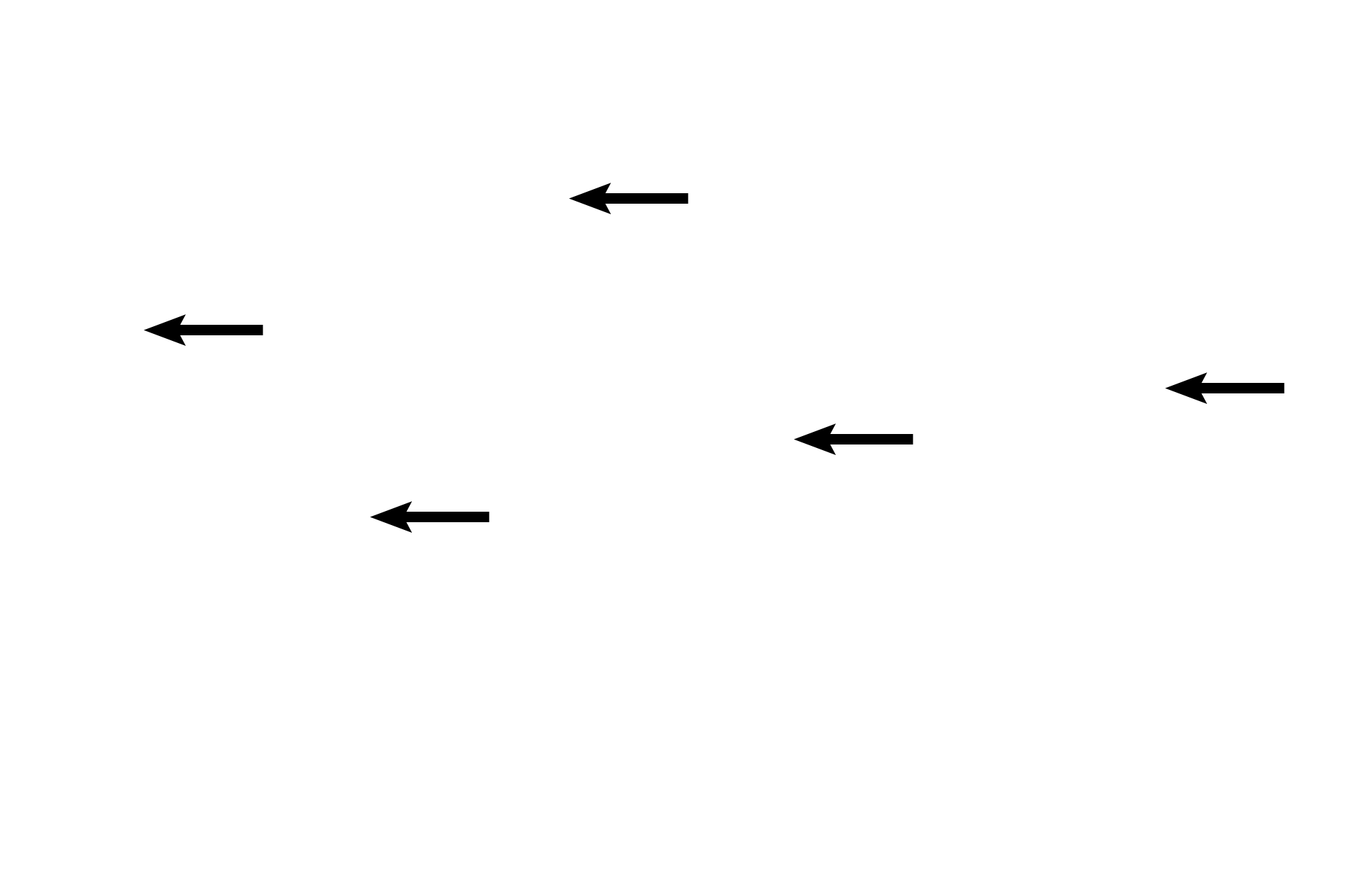 Glands <p>The corpus luteum decreases hormone production, causing the endometrium to shrink, becoming less edematous. Alternate contraction and relaxation of spiral arteries results in ischemia and degeneration of endometrial tissue supplied by these vessels. This phase is also called the ischemic portion of the secretory phase.  10x </p>
