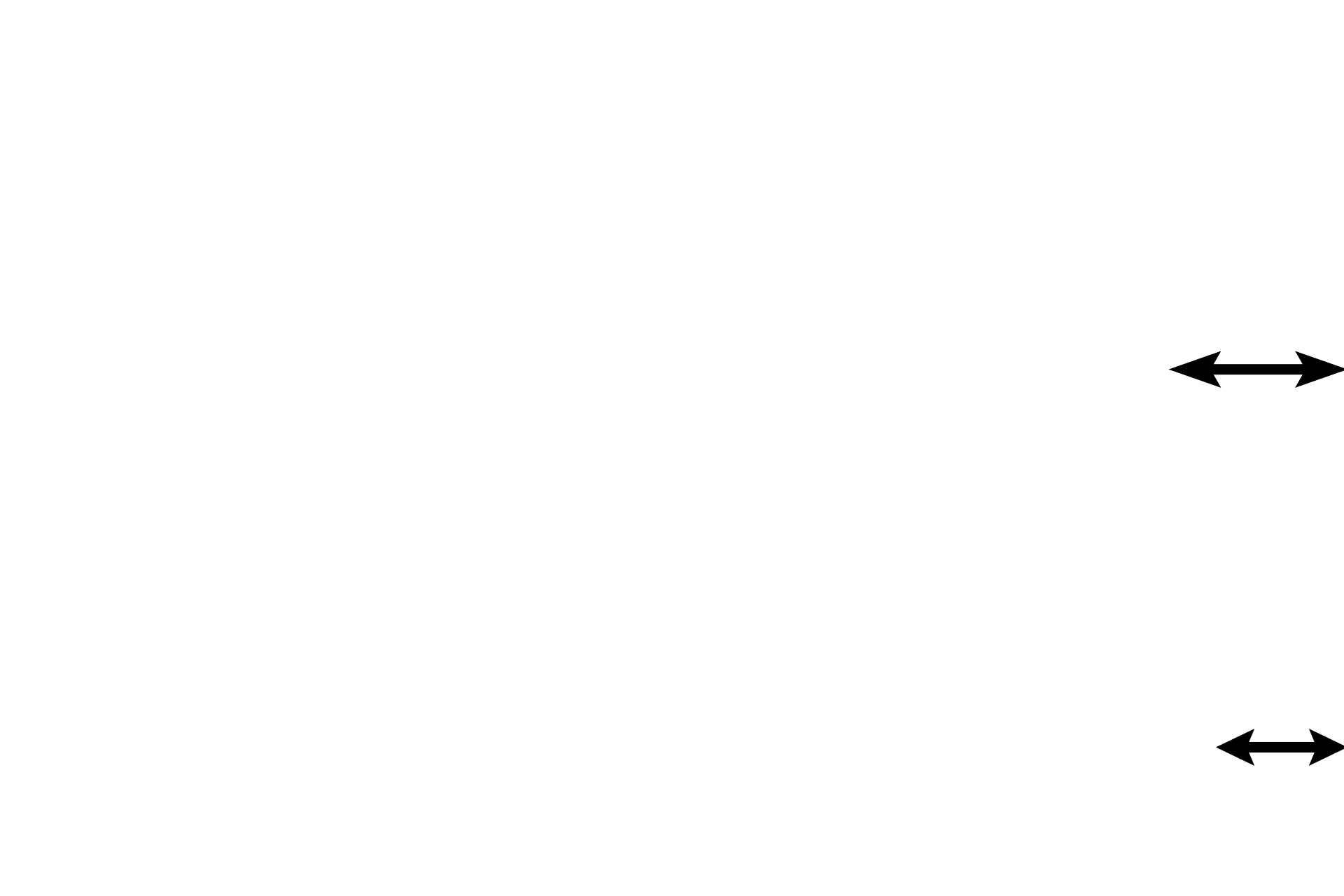 Myometrium <p>Sloughing of the functional zone has already begun, as evidenced by the lack of surface epithelium, presence of glands at the luminal surface, and missing portions of the functional zone.  The thickness of the remaining functional zone indicates that this tissue was taken during the early days of the menstrual phase.  100x</p>
