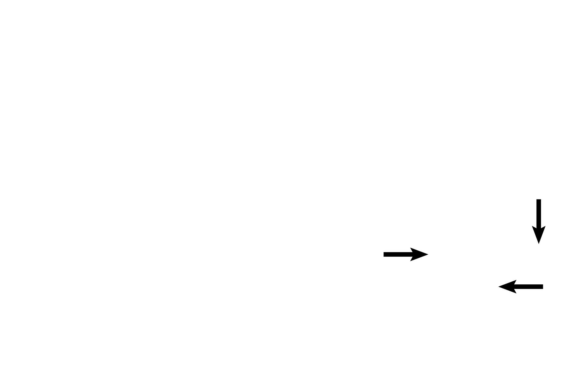 Plicae palmatae <p>Simple columnar epithelium lines the endocervical canal.  Mucus-secreting folds, plicae palmatae, extend from the endocervical canal.  Under the influence of estrogen at the time of ovulation, these folds release an abundant mucus that is favorable for sperm migration.  With low estrogen or with progesterone, the mucus is scant, viscous and difficult for sperm to penetrate. </p>
