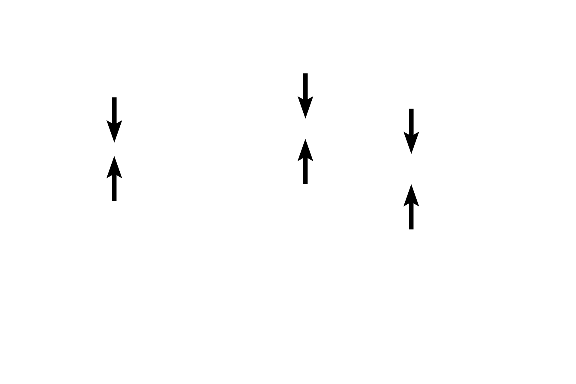 Cortex <p>In this image of the adrenal gland, the outer cortex, which secretes steroids hormones, surrounds the inner catecholamine-secreting cells in the central medulla.  10x</p>
