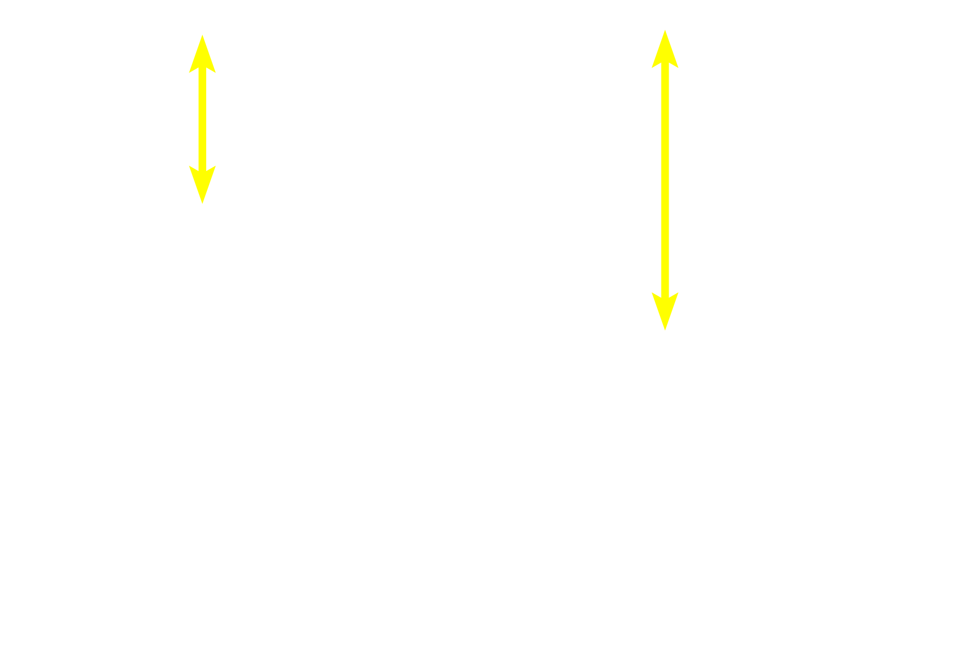 Epidermis <p>The cutaneous membrane, or skin, covers the exterior of the body.  It is composed of an epidermis of stratified squamous keratinized epithelium and its underlying connective tissue, the dermis.  40x, 100x</p>
