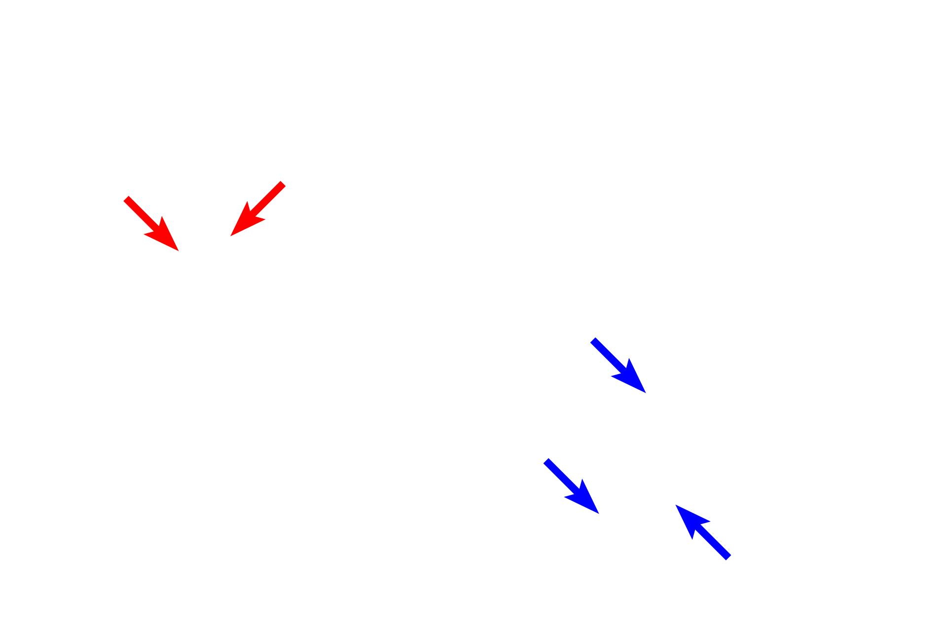 Mucosa <p>The small intestine is an organ that eventually opens to the exterior of the body; therefore, its lumen is lined by a mucosal membrane or mucosa.  Because this portion of the small intestine also protrudes into the peritoneal cavity, an internal cavity that does not open to the exterior, the outer surface of the organ is covered by a serosal membrane or serosa.  40x</p>
