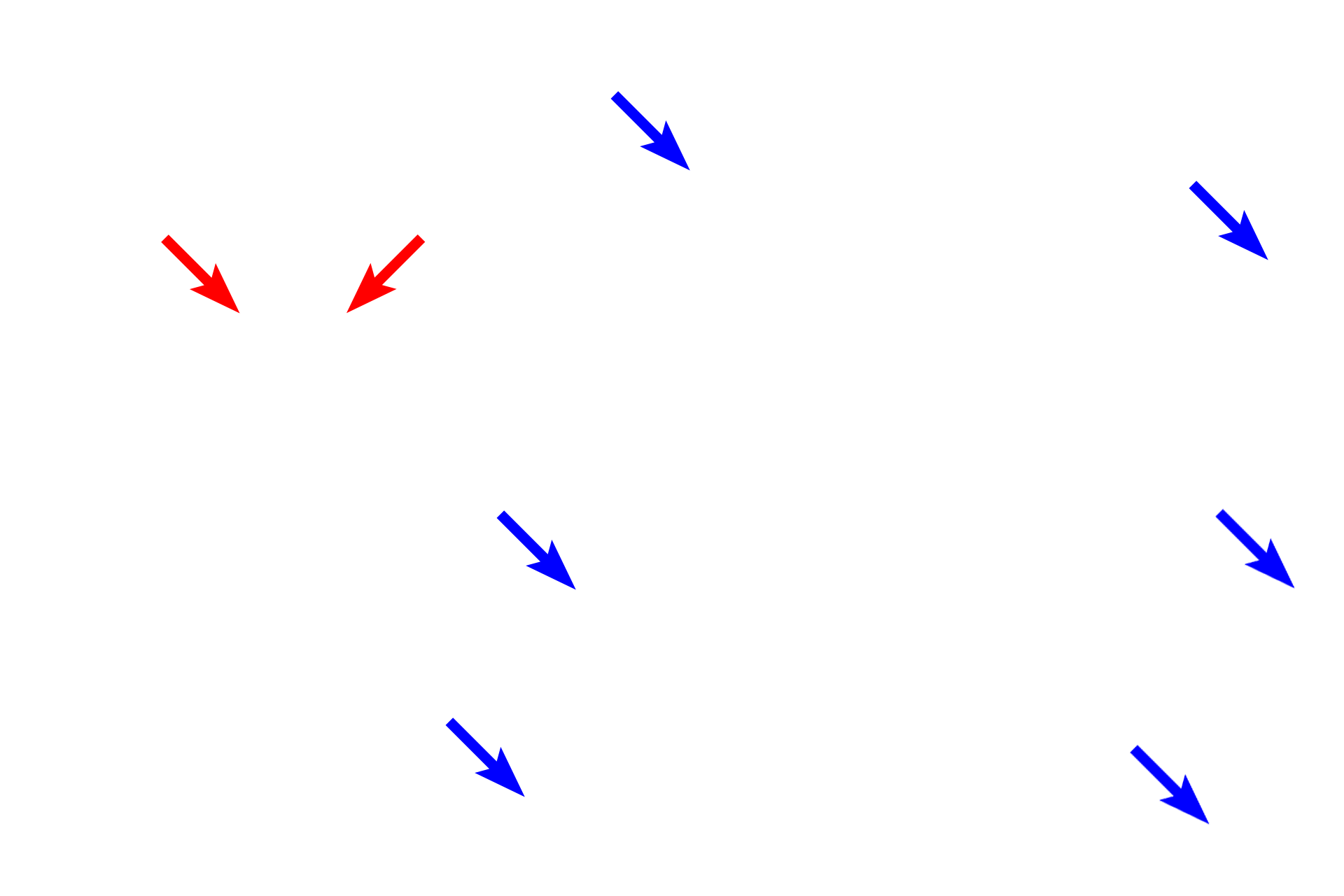 Serosa <p>The small intestine is an organ that eventually opens to the exterior of the body; therefore, its lumen is lined by a mucosal membrane or mucosa.  Because this portion of the small intestine also protrudes into the peritoneal cavity, an internal cavity that does not open to the exterior, the outer surface of the organ is covered by a serosal membrane or serosa.  40x</p>
