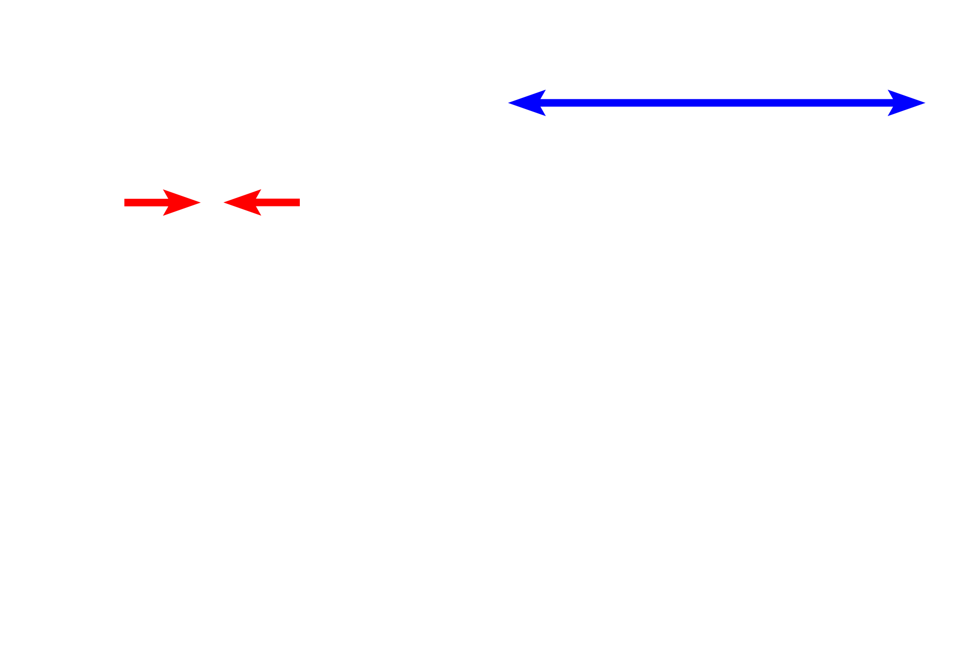 Mesentery > <p>A mesentery suspends several digestive organs into the peritoneal cavity from the dorsal body wall.  A mesentery consists of two apposed serosal layers and the intervening connective tissue. Therefore, most of this small intestine is surrounded by a serosa. </p>
