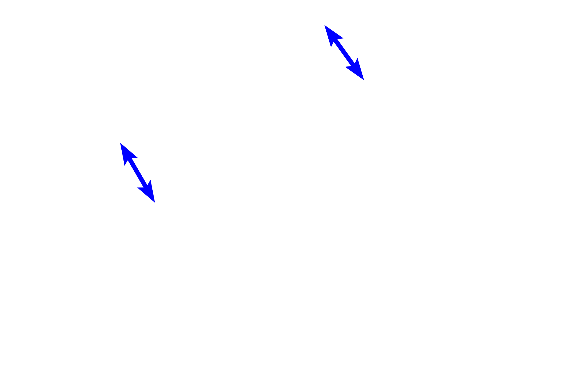 Stroma: capsule <p>The stroma often forms a dense connective tissue capsule that surrounds an organ, as seen in this section of the spleen.  Extensions from the capsule, called trabeculae, penetrate the organ to provide internal support.  The parenchyma of the spleen is formed of lymphoid cells which are supported by a stroma of delicate reticular connective tissue. 100x</p>
