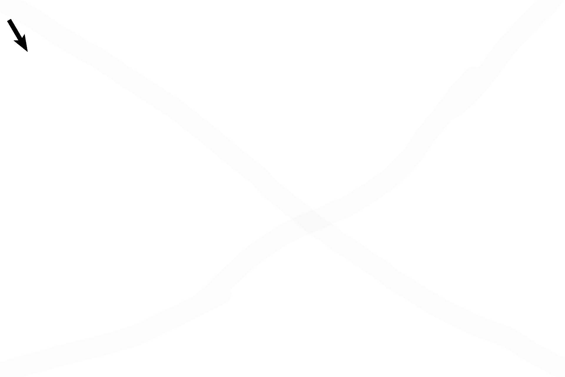 Perichondrium: fibrous layer <p>The qualities that distinguish elastic cartilage are quite evident here: numerous chondrocytes with few isogenous groups, less extracellular matrix than hyaline cartilage and abundant, very obvious elastic fibers. 600x</p>
