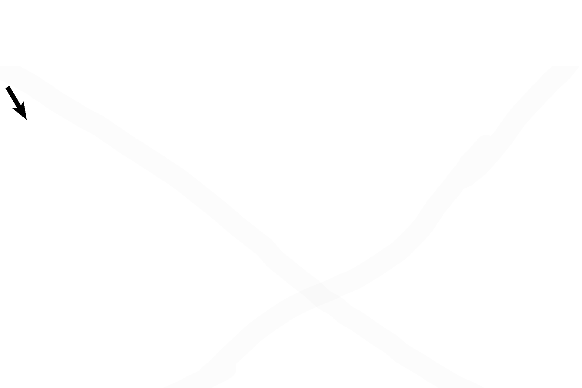 Perichondrium: chondrogenic layer <p>The qualities that distinguish elastic cartilage are quite evident here: numerous chondrocytes with few isogenous groups, less extracellular matrix than hyaline cartilage and abundant, very obvious elastic fibers. 600x</p>
