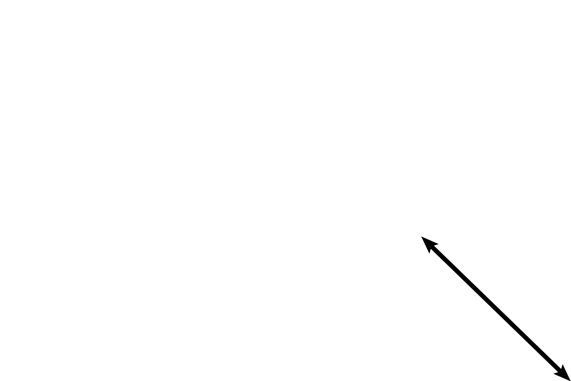  - Fibrous layer > <p>In the fibrous portion of the perichondrium, the nuclei of the cells resemble those of inactive fibroblasts. These cells are multipotential, however, and have the ability to differentiate into several types of adult connective tissue cells, including chondroblasts.</p>
