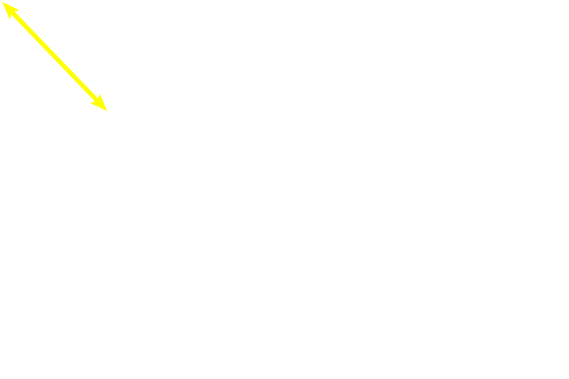 Perichondrium: chondrogenic layer <p>Hyaline cartilage is identified by its blue-purple appearance and by its isogenous groups of chondrocytes. The lack of blood vessels in hyaline cartilage means that nutrients and wastes must diffuse through the tissue, thus limiting the thickness of the hyaline cartilage. 400x</p>
