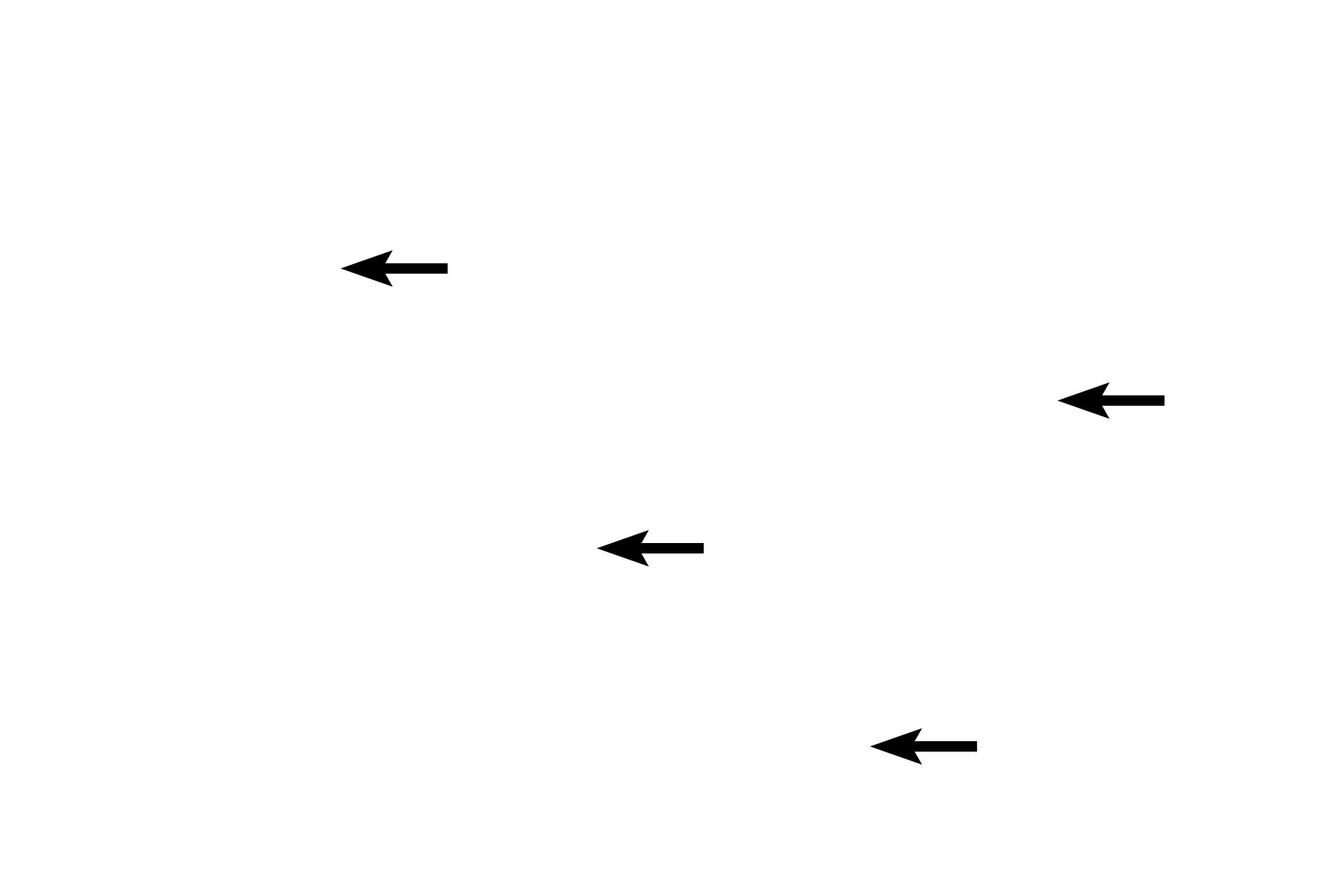 Red blood cells <p>Cells that are in a fluid environment, e.g., blood, usually take on a spherical shape.  In this blood smear, white blood cells are spherical.  The red blood cells, in contrast, are bi-concave discs, which afford greater surface area for exchange of gases across the cell membrane. 1000x</p>
