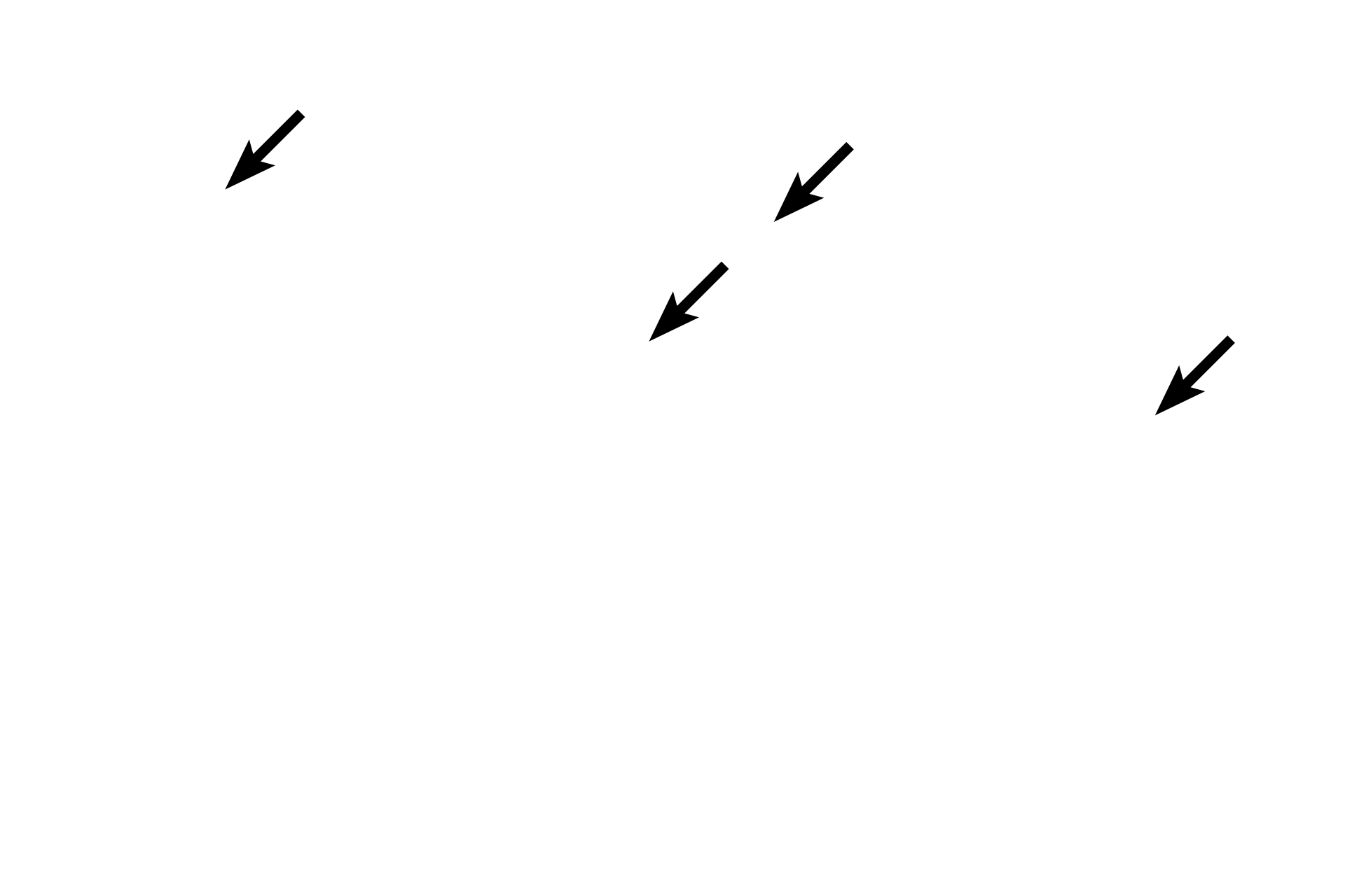 Platelets <p>Cells that are in a fluid environment, e.g., blood, usually take on a spherical shape.  In this blood smear, white blood cells are spherical.  The red blood cells, in contrast, are bi-concave discs, which afford greater surface area for exchange of gases across the cell membrane. 1000x</p>
