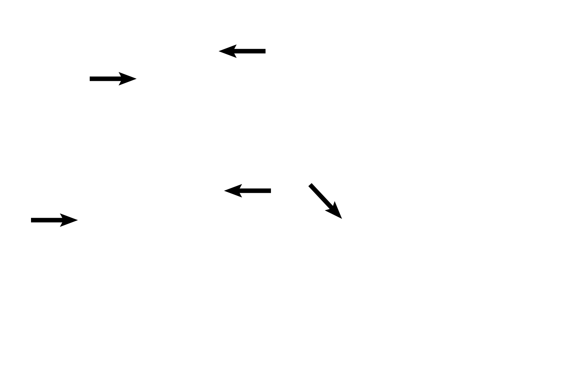 Scala vestibuli <p>Another section of a non-human cochlea shows this bony tube coiled into a spiral. The cochlear duct is centrally located within the cochlea, dividing it into a scala vestibuli, lying above the cochlear duct, and a scala tympani lying below. Scala vestibuli and scala tympani are continuous at the tip of the cochlea at the helicotrema. 40x</p>
