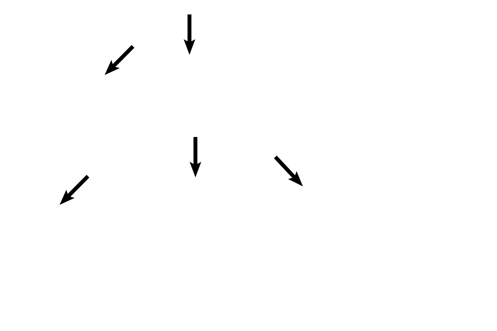 Vestibular membrane <p>Another section of a non-human cochlea shows this bony tube coiled into a spiral. The cochlear duct is centrally located within the cochlea, dividing it into a scala vestibuli, lying above the cochlear duct, and a scala tympani lying below. Scala vestibuli and scala tympani are continuous at the tip of the cochlea at the helicotrema. 40x</p>
