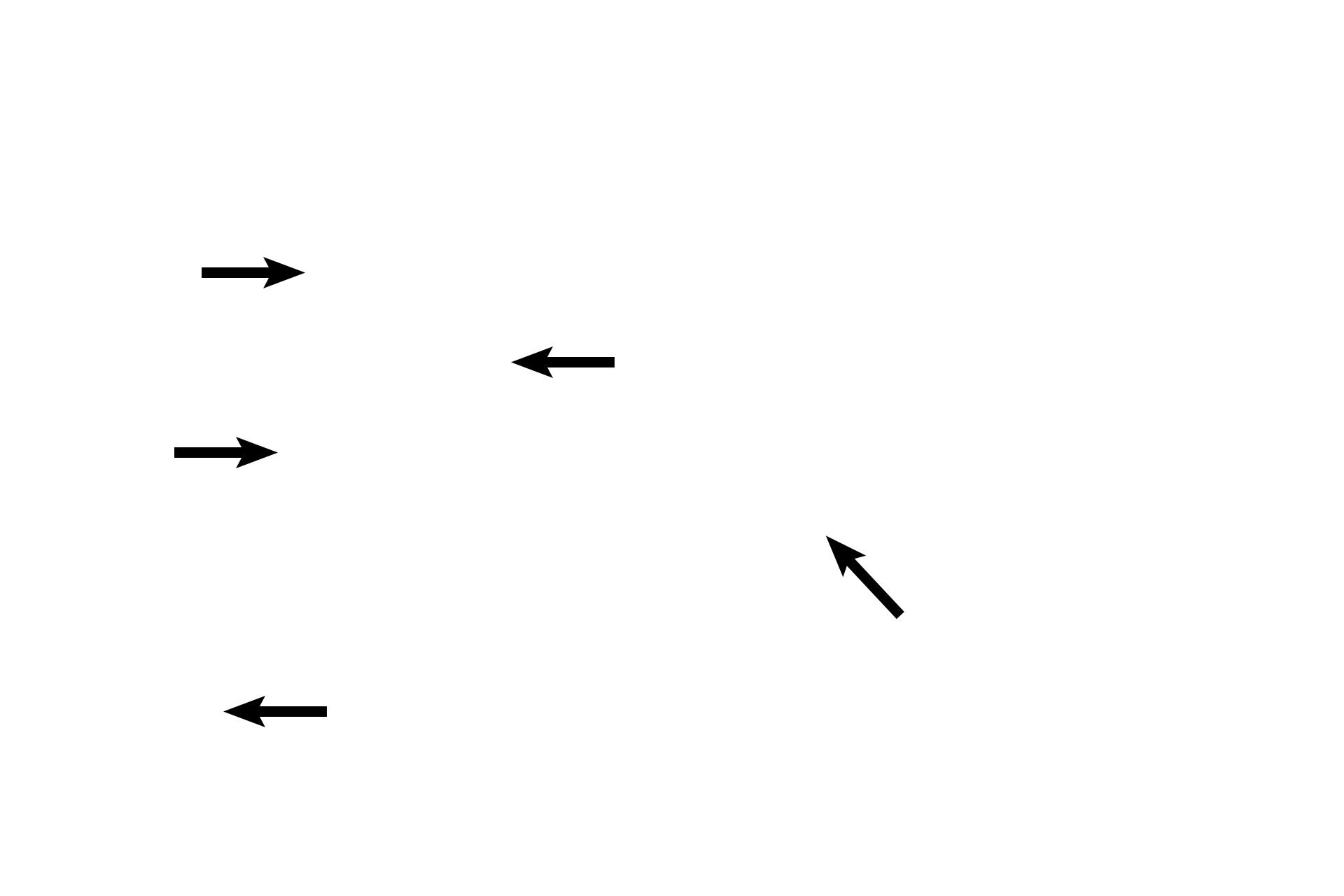 Scala tympani <p>Another section of a non-human cochlea shows this bony tube coiled into a spiral. The cochlear duct is centrally located within the cochlea, dividing it into a scala vestibuli, lying above the cochlear duct, and a scala tympani lying below. Scala vestibuli and scala tympani are continuous at the tip of the cochlea at the helicotrema. 40x</p>
