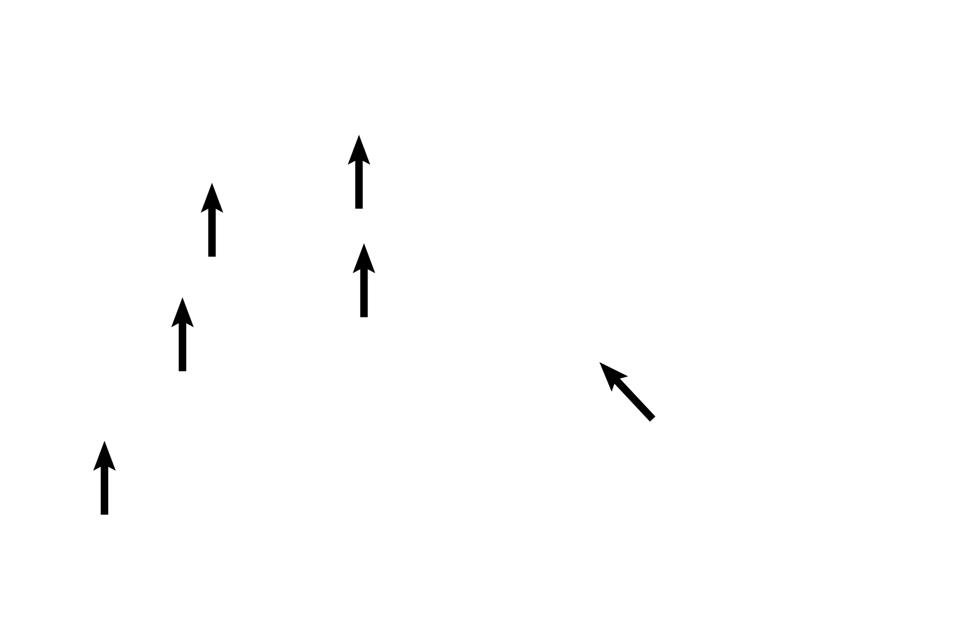 Basilar membrane <p>Another section of a non-human cochlea shows this bony tube coiled into a spiral. The cochlear duct is centrally located within the cochlea, dividing it into a scala vestibuli, lying above the cochlear duct, and a scala tympani lying below. Scala vestibuli and scala tympani are continuous at the tip of the cochlea at the helicotrema. 40x</p>
