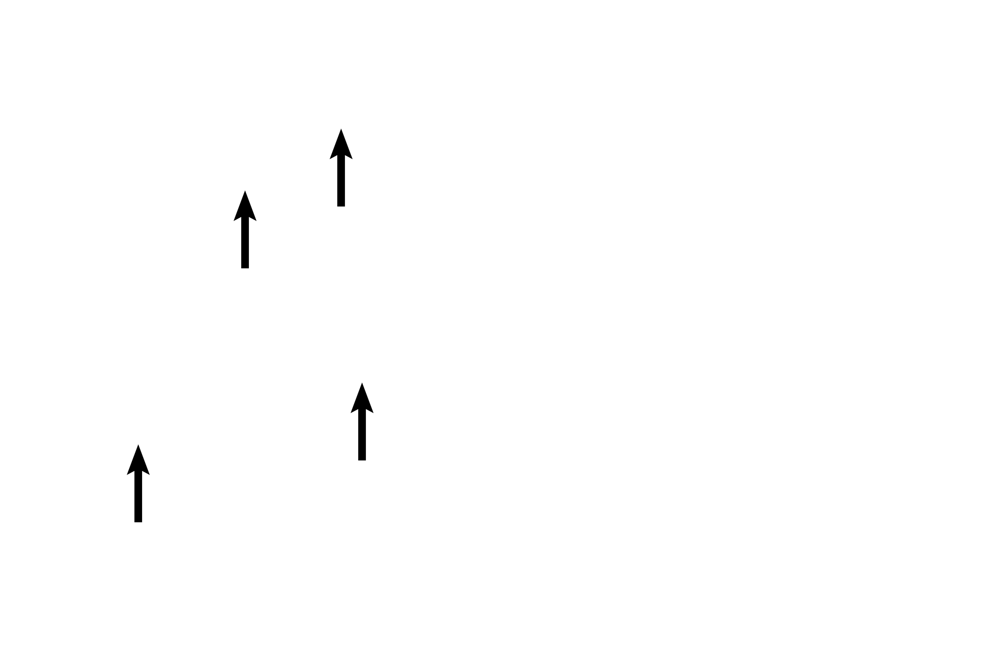 Osseous spiral lamina <p>Another section of a non-human cochlea shows this bony tube coiled into a spiral. The cochlear duct is centrally located within the cochlea, dividing it into a scala vestibuli, lying above the cochlear duct, and a scala tympani lying below. Scala vestibuli and scala tympani are continuous at the tip of the cochlea at the helicotrema. 40x</p>
