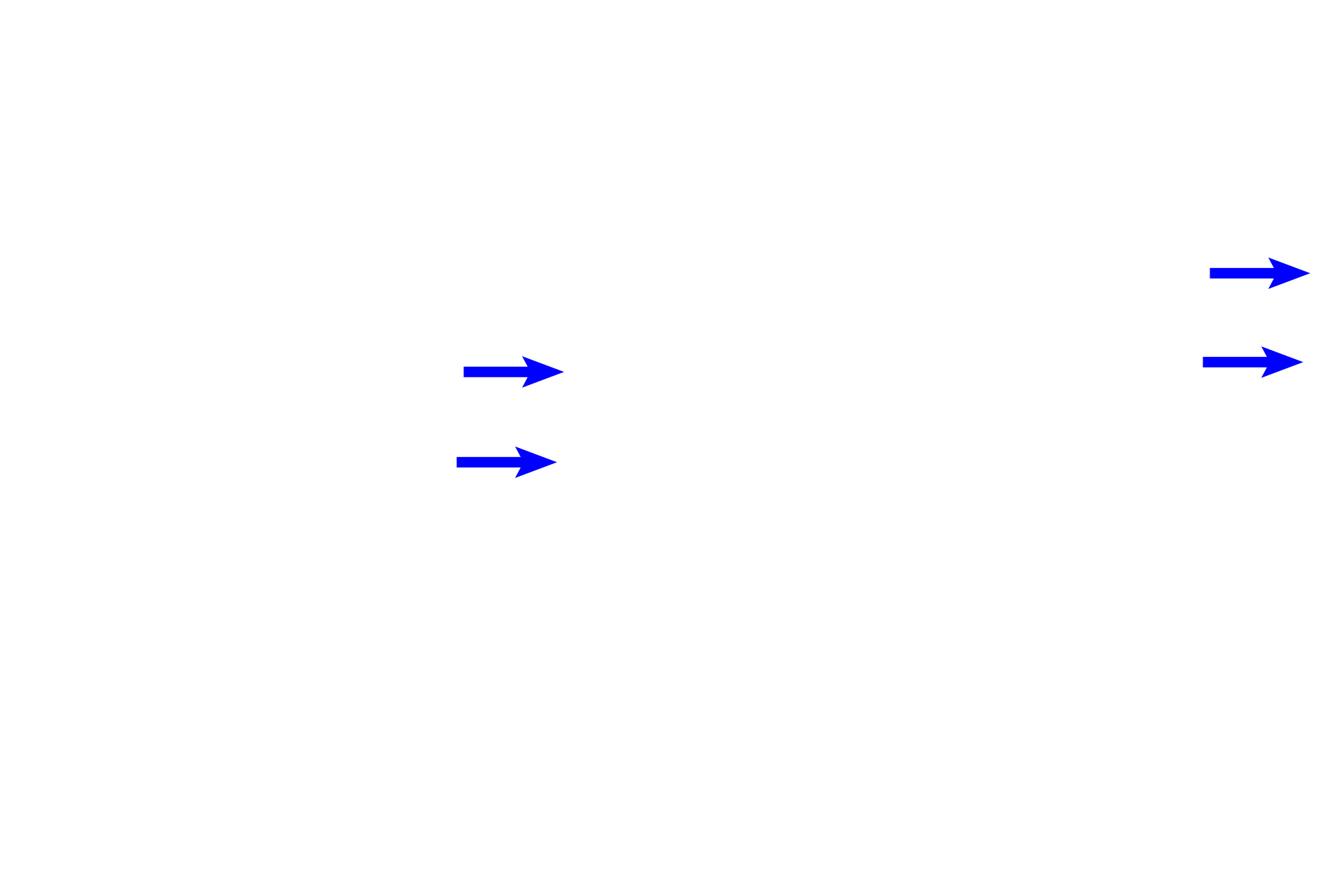  - Stria vascularis <p>An illustration and a histological section of a single turn of the osseous cochlea show the cochlear duct positioned between the scala vestibuli and scala tympani. The receptor for hearing, the organ of Corti, is located on the basilar membrane (floor) of the cochlear duct. 100x</p>
