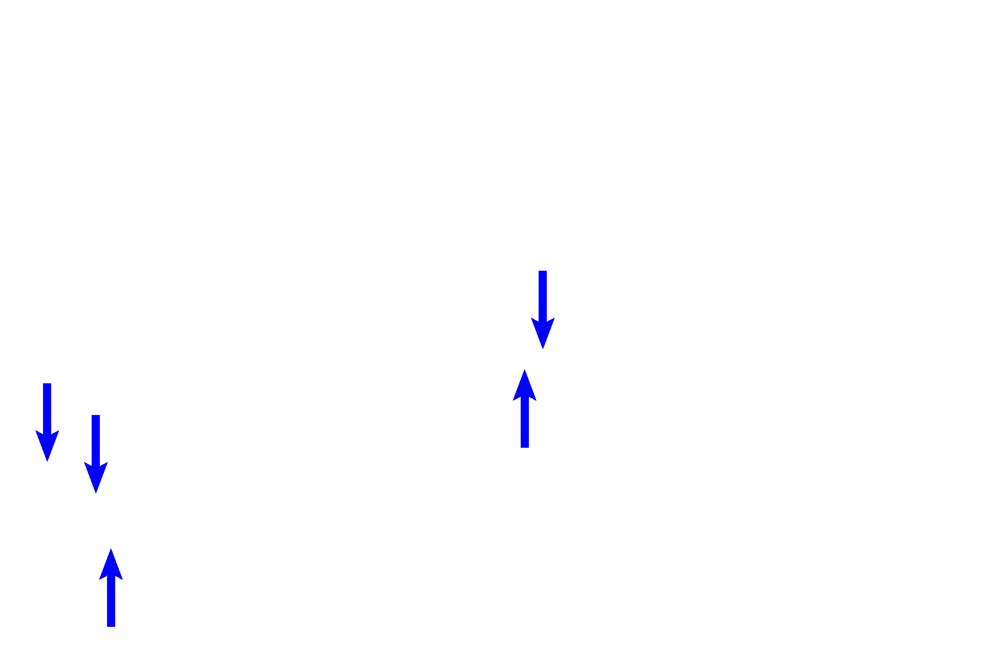 Osseous spiral lamina <p>An illustration and a histological section of a single turn of the osseous cochlea show the cochlear duct positioned between the scala vestibuli and scala tympani. The receptor for hearing, the organ of Corti, is located on the basilar membrane (floor) of the cochlear duct. 100x</p>
