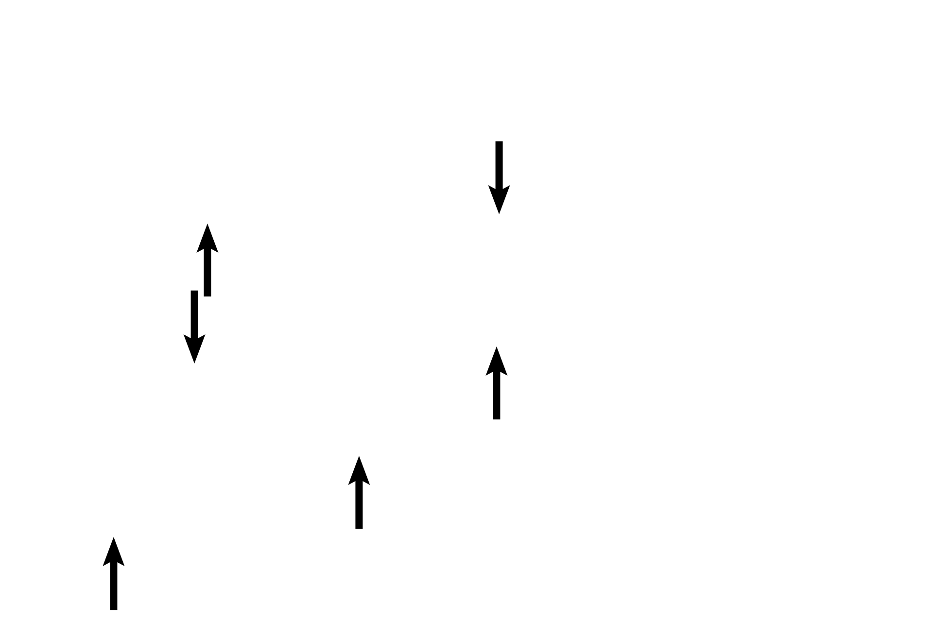Osseous spiral lamina <p>Peripheral dendrites of the vestibulocochlear nerve (CN VIII) innervate hair cells of the organ of Corti and then pass medially through the osseous spiral lamina to the spiral ganglion, location of their bipolar nerve cell bodies. Central axons form the cochlear division of the nerve. The modiolus with its osseous spiral lamina provides a framework for the cochlea and a conduit for the nerve. 40x, 200x.</p>
