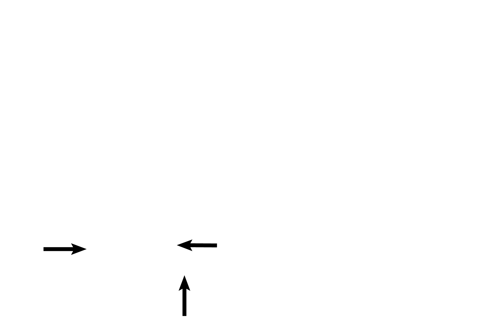 Cochlear duct > <p>The cochlear duct, spiraling through the center of the cochlea of the osseous labyrinth, communicates through a small duct with the saccule.  The receptor in the cochlear duct, the organ of Corti, responds to sound vibrations.</p>
