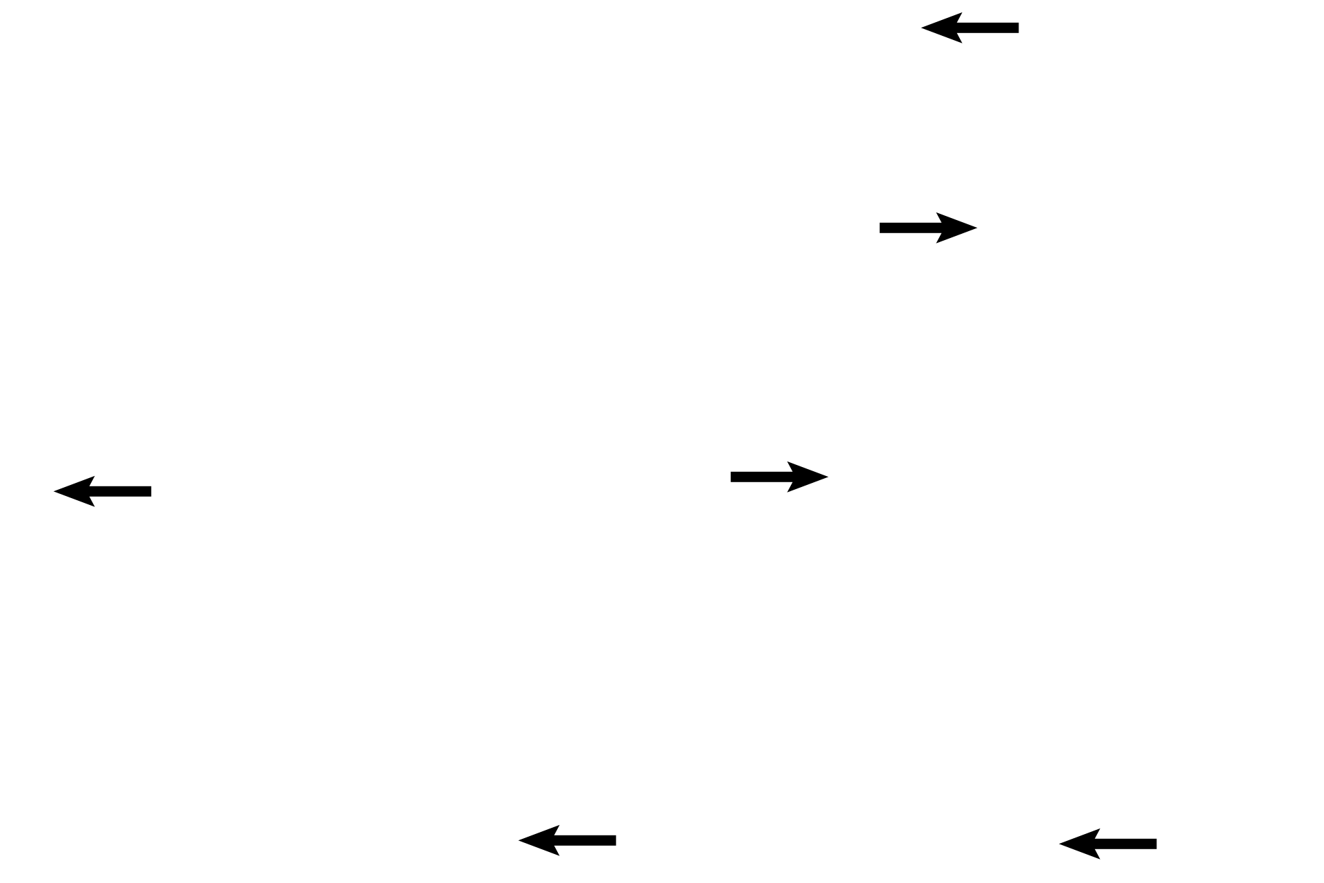 Temporal bone, petrous > <p>The inner ear is nested in and protected by the petrous portion of the temporal bone.</p>
