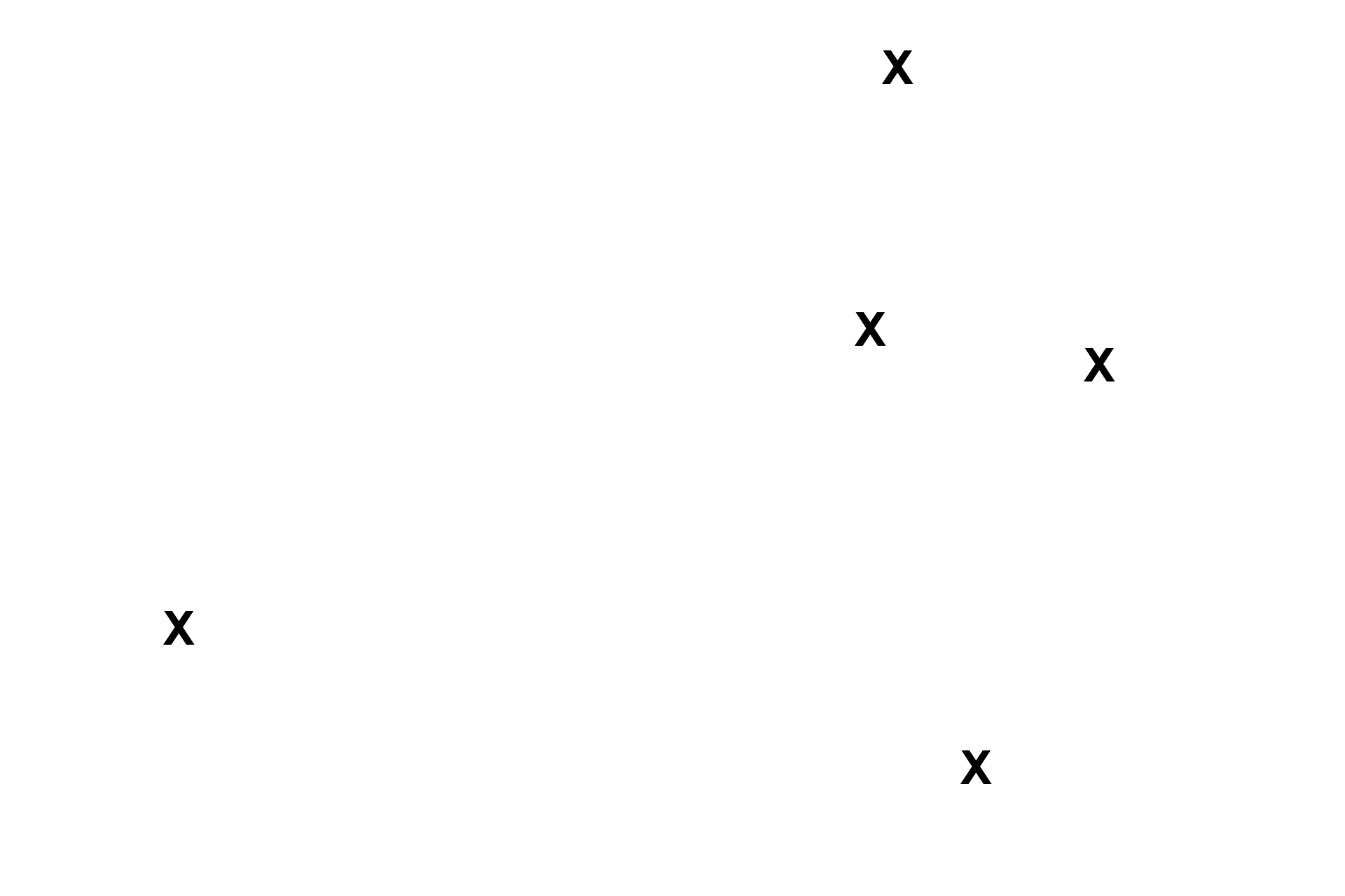 Connective tissue reticulum  > <p>The connective tissue reticulum secures the membranous labyrinth in the osseous labyrinth.</p>
