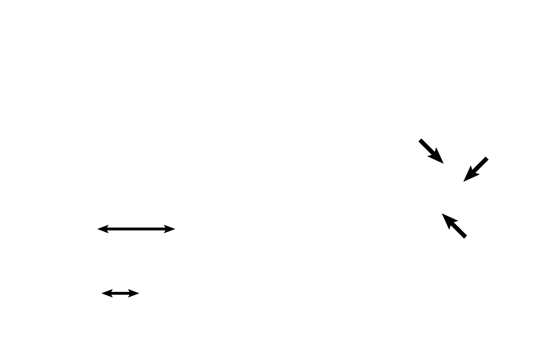  - Ampullae <p>Each semicircular duct, suspended in its bony semicircular canal, is a circularly arranged tube; both ends of the tube join the utricle. An enlargement, the ampulla, at one end of the tube houses its receptor, the crista ampullaris.</p>
