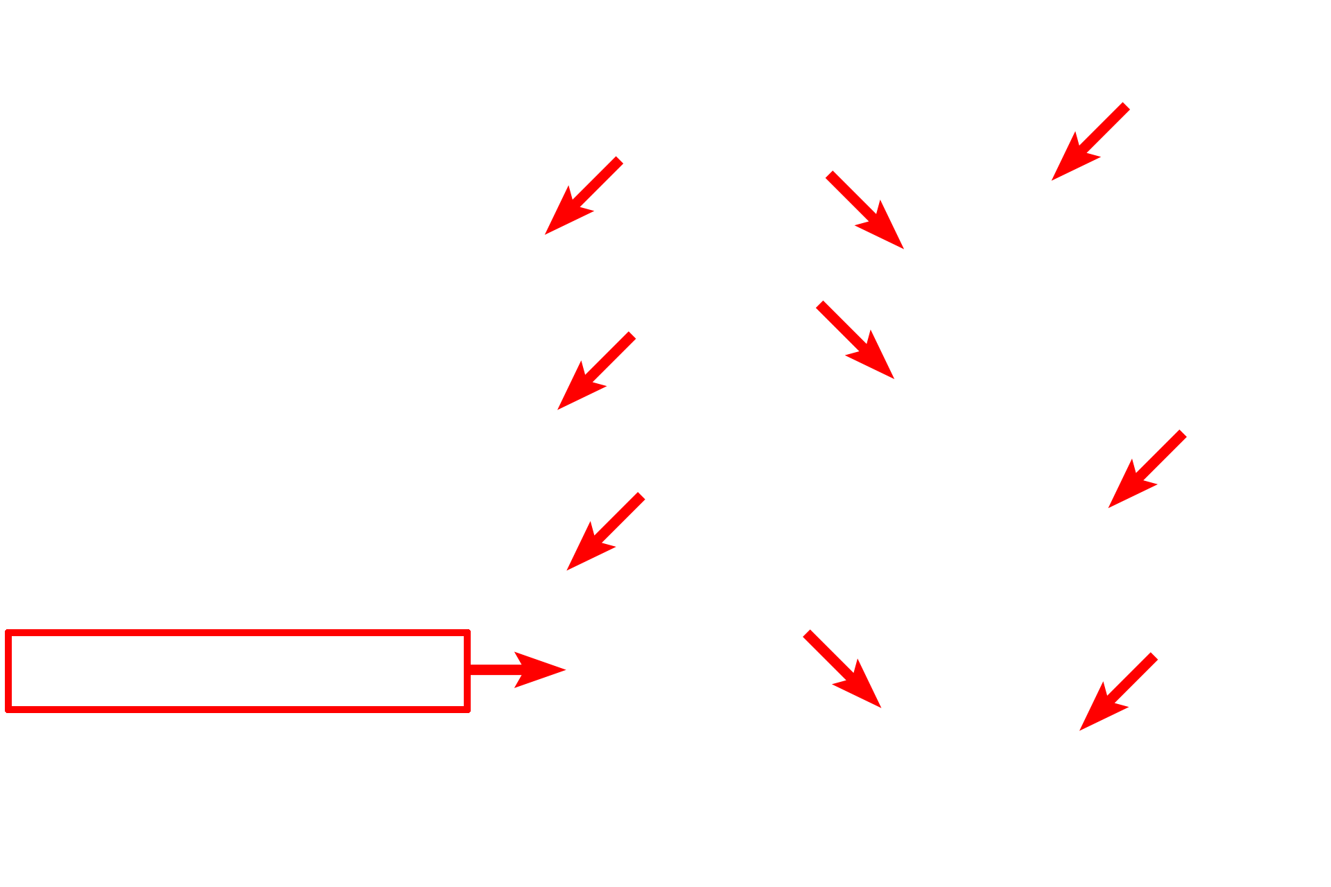  - Plasma membrane <p>The outer segments of rods are roughly cylindrical and consist mainly of 600–1000 flattened membranous discs.  The discs are stacked like coins within the cytoplasm of the outer segment; their membranes are not connected to the plasma membrane.  Phototransduction occurs along the disc membrane.</p>
