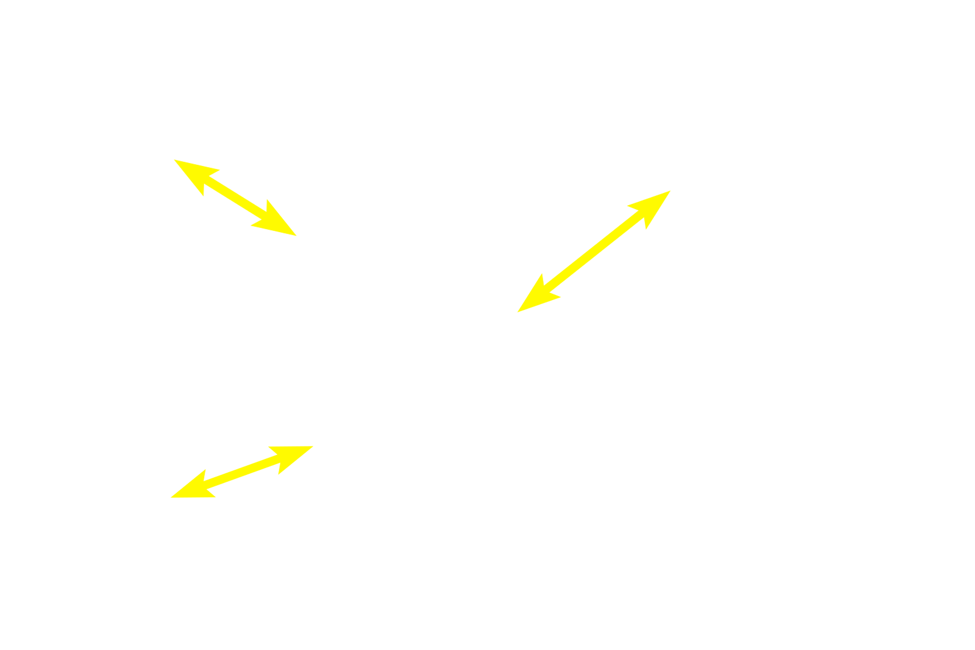 Absorptive cells > <p>These goblet cells are embedded in a layer of absorptive cells that comprise a simple columnar epithelium. The absorptive cells have a prominent brush border composed of microvilli to increase absorptive surface area. The absorptive epithelium and its underlying loose connective tissue form a villus that also increases intestinal surface area.</p>
