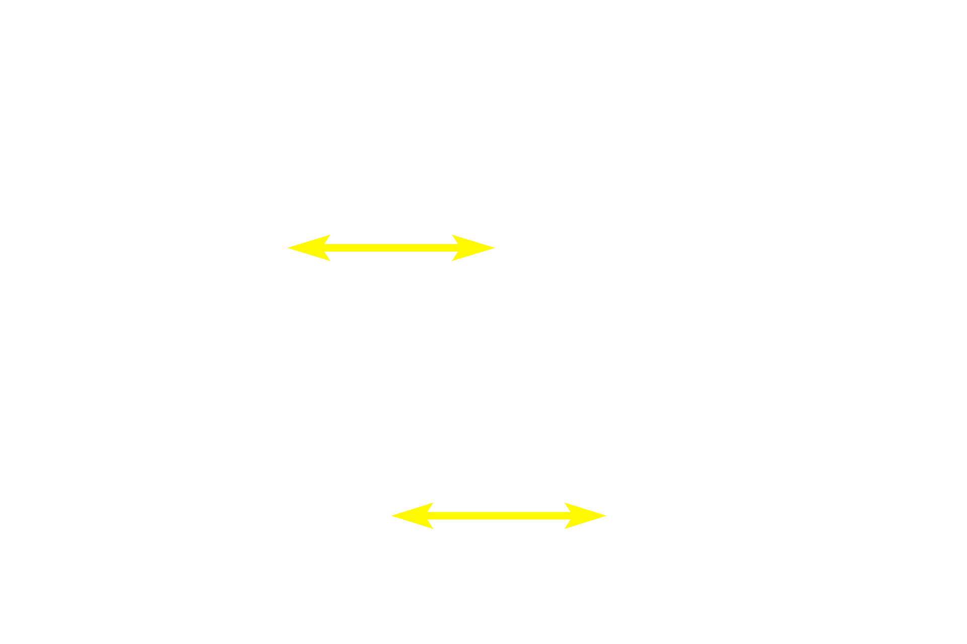 Loose connective tissue <p>These goblet cells are embedded in a layer of absorptive cells that comprise a simple columnar epithelium. The absorptive cells have a prominent brush border composed of microvilli to increase absorptive surface area. The absorptive epithelium and its underlying loose connective tissue form a villus that also increases intestinal surface area.</p>

