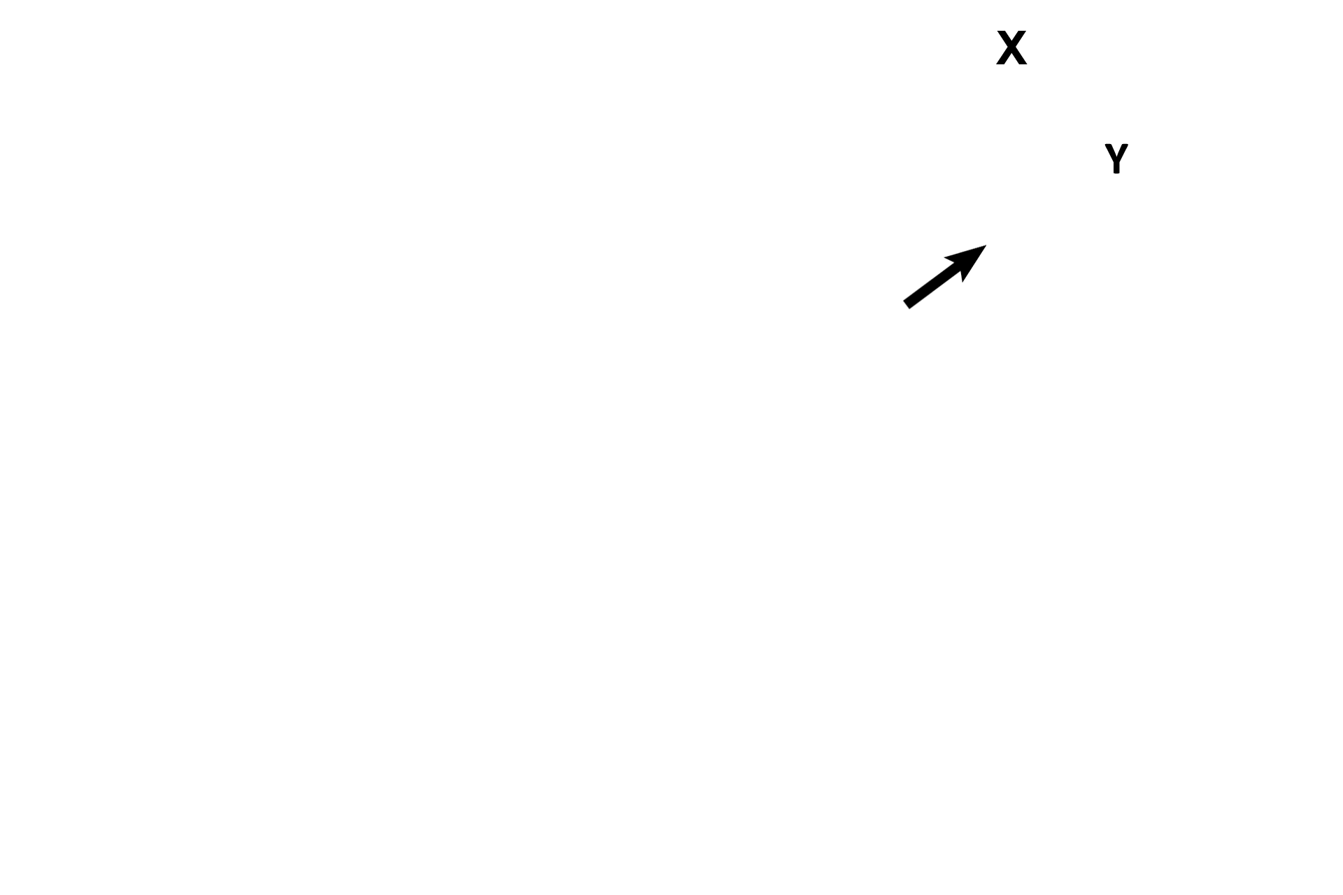 Cranial cavity and brain <p>The cranial cavity (X) and brain (Y) are separated from the ear only by a thin layer of temporal bone (arrow).</p>
