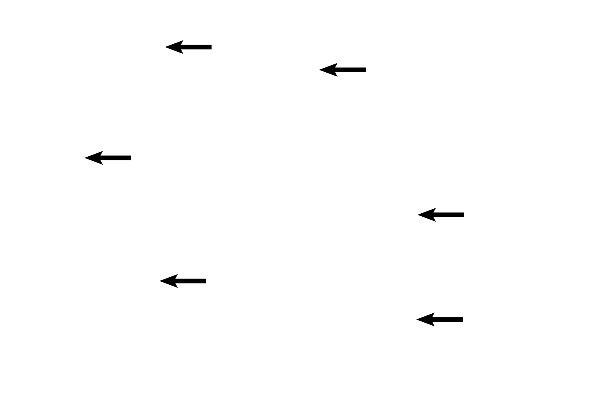 Acini <p>The lactating stage of the breast is characterized by the large amount of glandular parenchyma relative to the connective tissue and by the presence of widely distended acini. Different lobules of the breast are in different stages of milk production and release. The acini and ducts are filled with milk. 100x </p>
