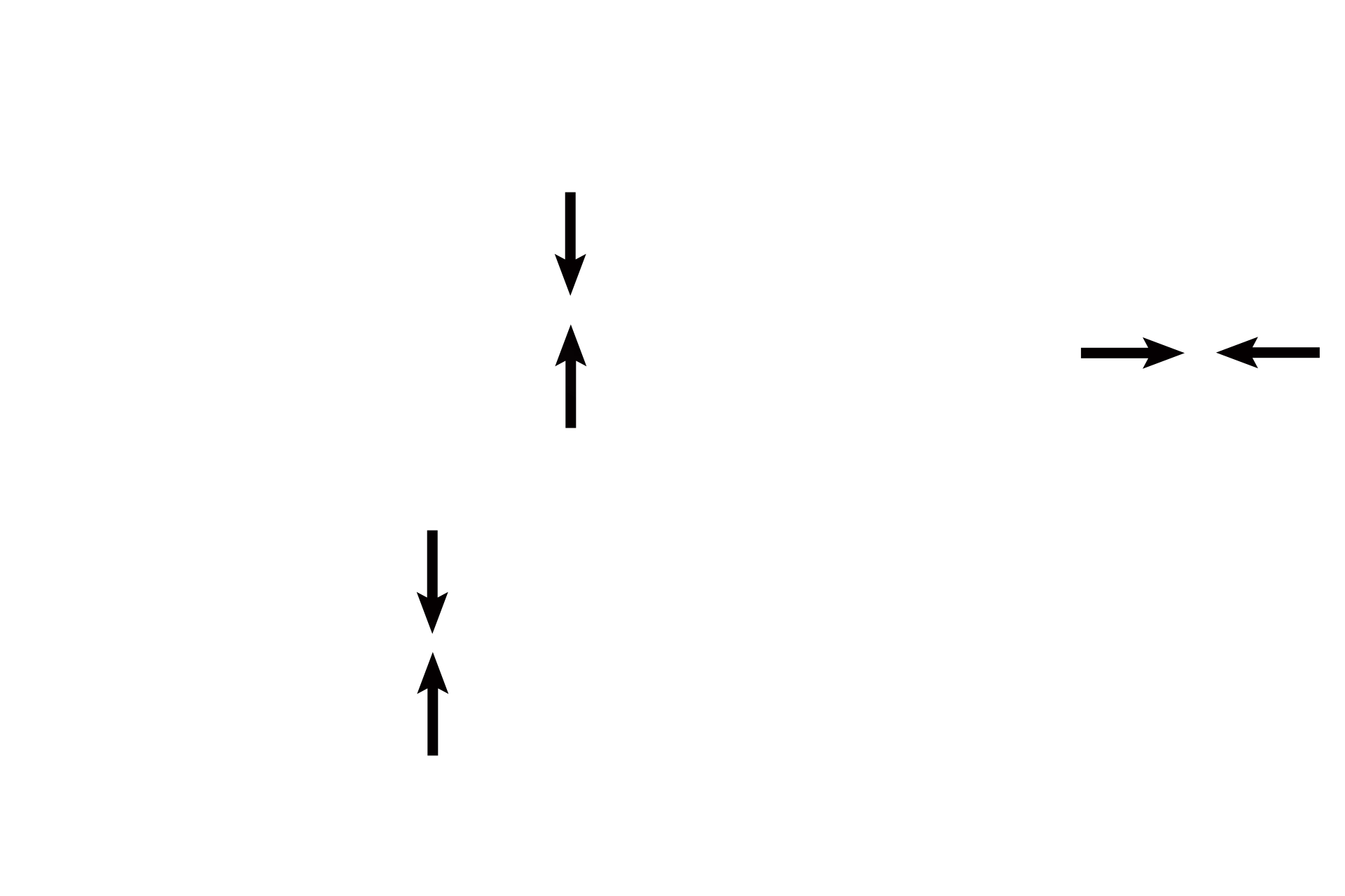 Epithelium <p>Several individual prostate glands fill the image. The epithelium of the prostate, simple or pseudostratified columnar, and its underlying connective tissue are thrown into low folds. Prostatic concretions, probably precipitates of secretory products, accumulate with age and may calcify; concretions are diagnostic for the prostate. 300x</p>
