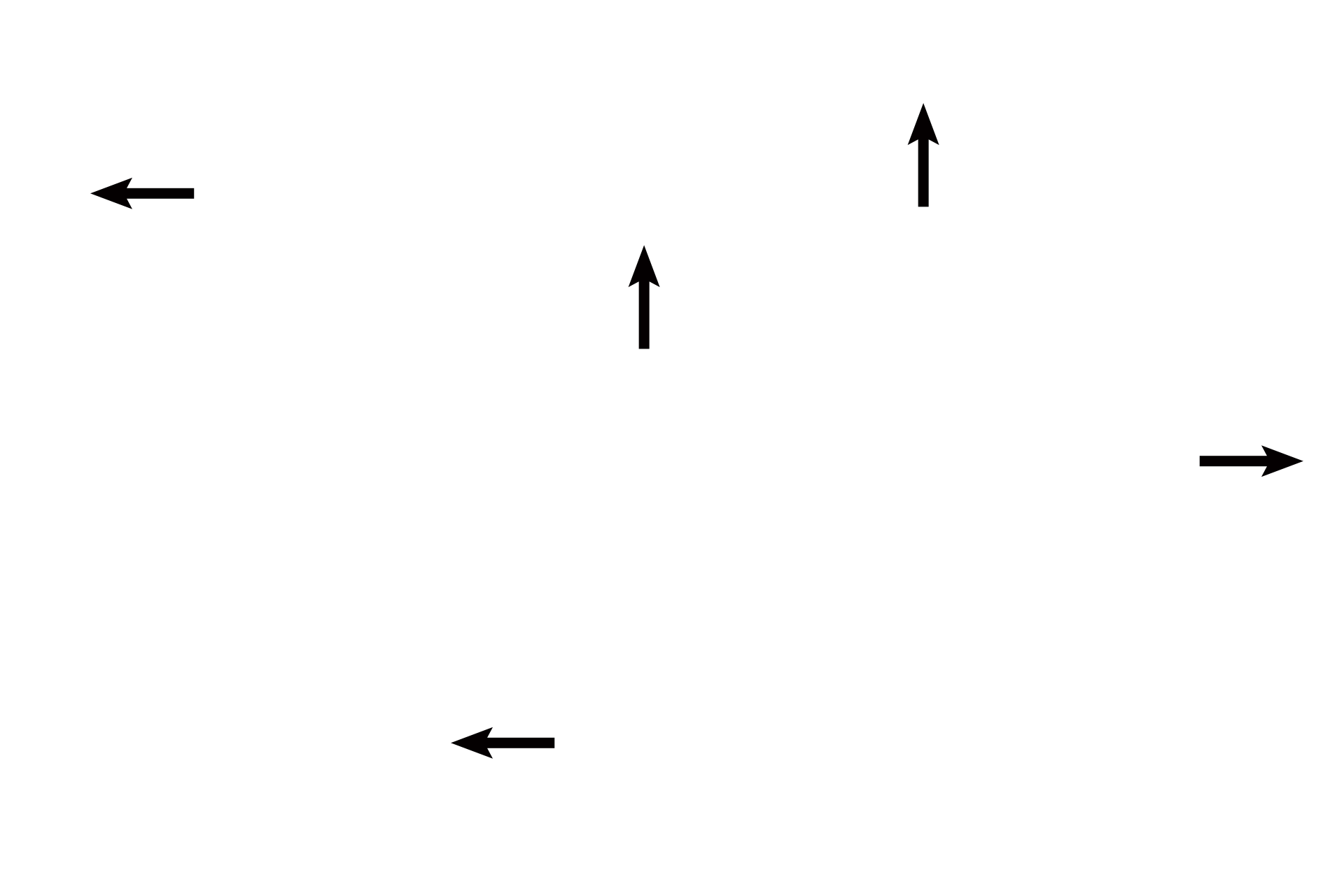 Smooth muscle <p>Several individual prostate glands fill the image. The epithelium of the prostate, simple or pseudostratified columnar, and its underlying connective tissue are thrown into low folds. Prostatic concretions, probably precipitates of secretory products, accumulate with age and may calcify; concretions are diagnostic for the prostate. 300x</p>
