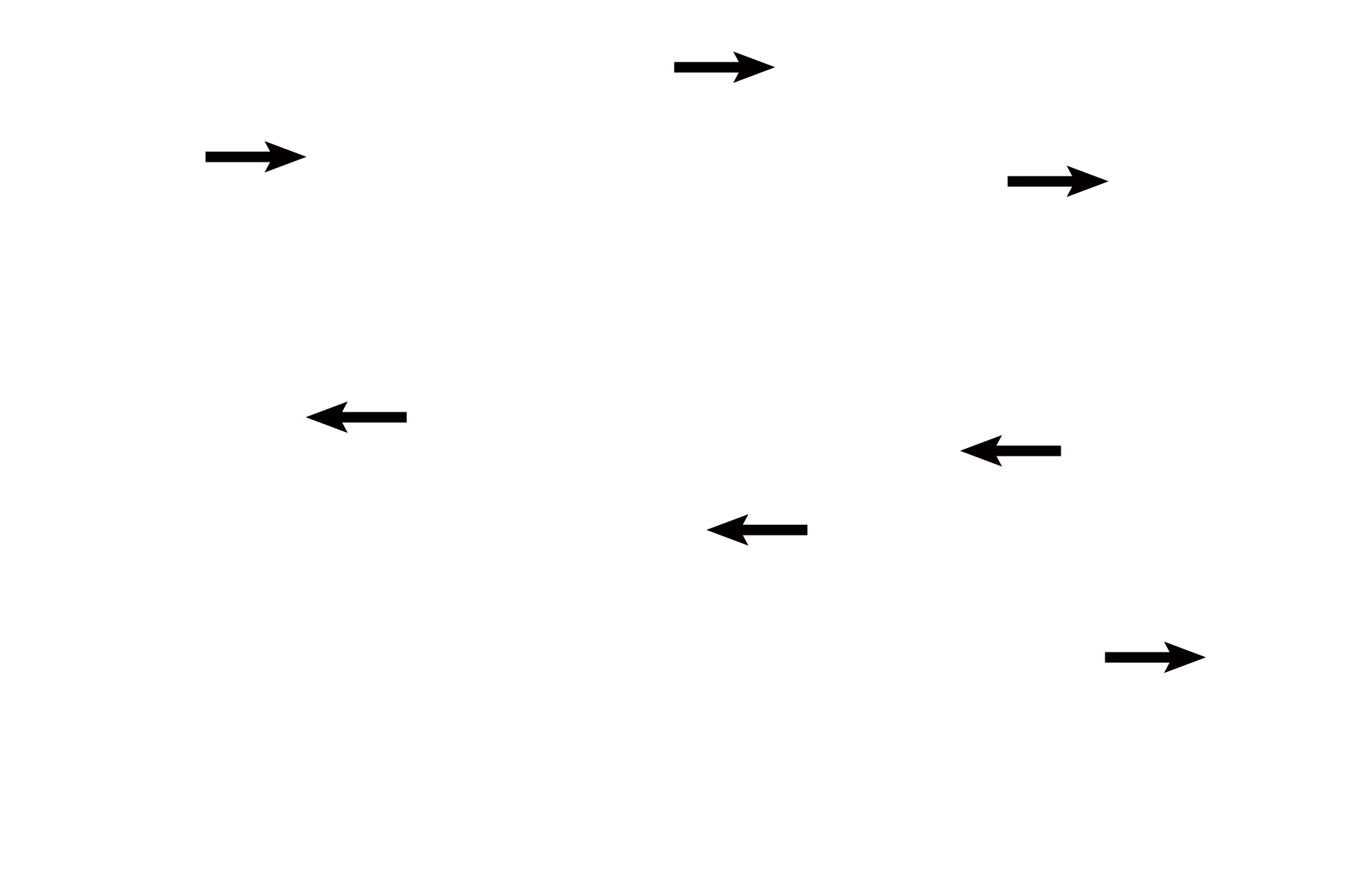 Glands <p>Several glands are visible, each lined by simple or pseudostratified columnar epithelium. Prostatic concretions (corpora amylacea) are diagnostic for the prostate. They are probably precipitated secretory product, whose number increases with age. 400x</p>
