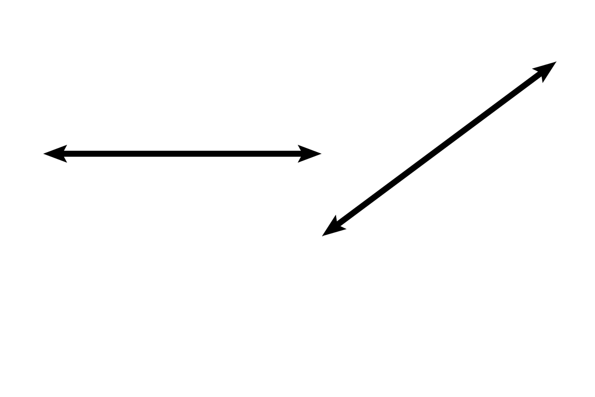 Secretory tubule <p>The single gland forming each seminal vesicle is highly convoluted, so a section through the gland reveals multiple profiles. The seminal vesicle is most easily identified by its central lumen that has been partitioned by the arcading of its mucosal folds. Smooth muscle surrounds the seminal vesicle. 40x</p>
